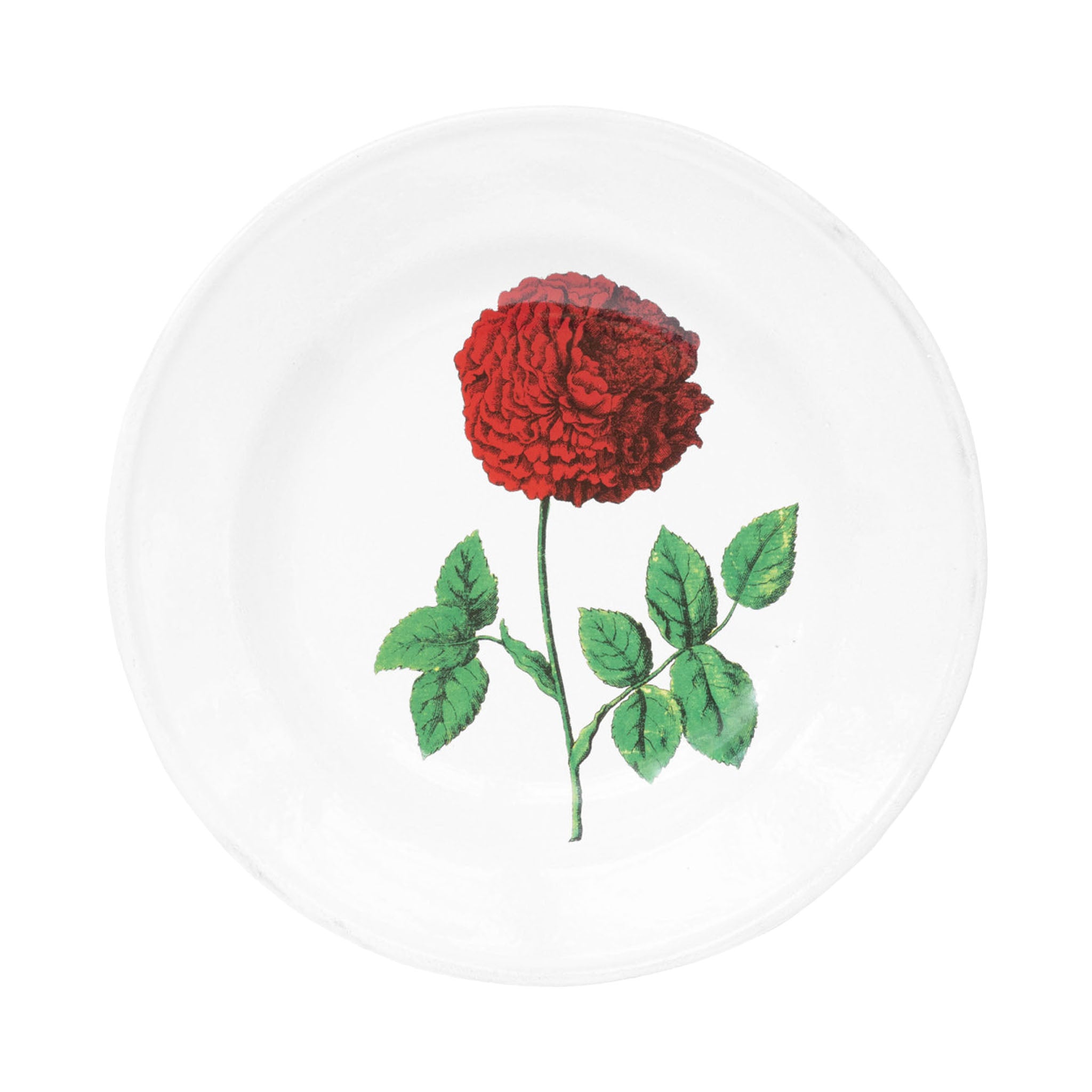 John Derian Hundred Leaved Rose スーププレート 22cm