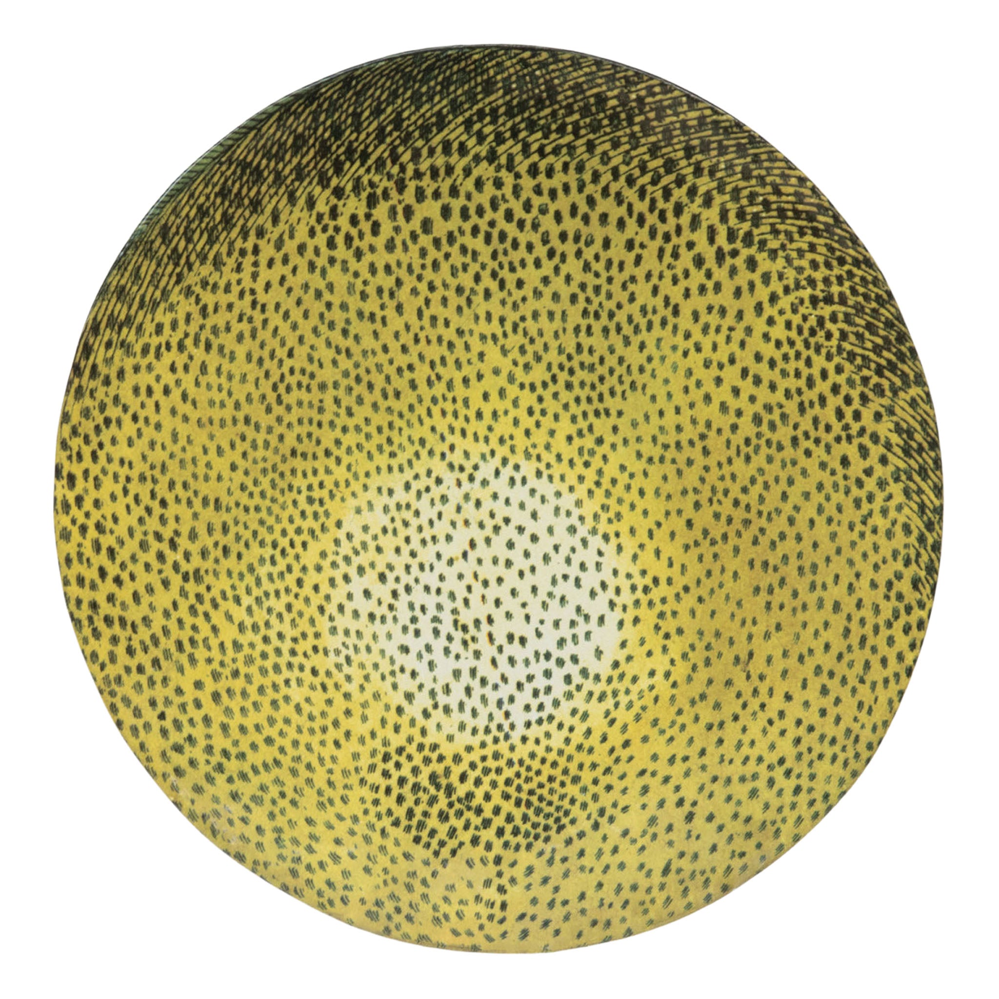 John Derian Grapefruit ディナープレート 28cm