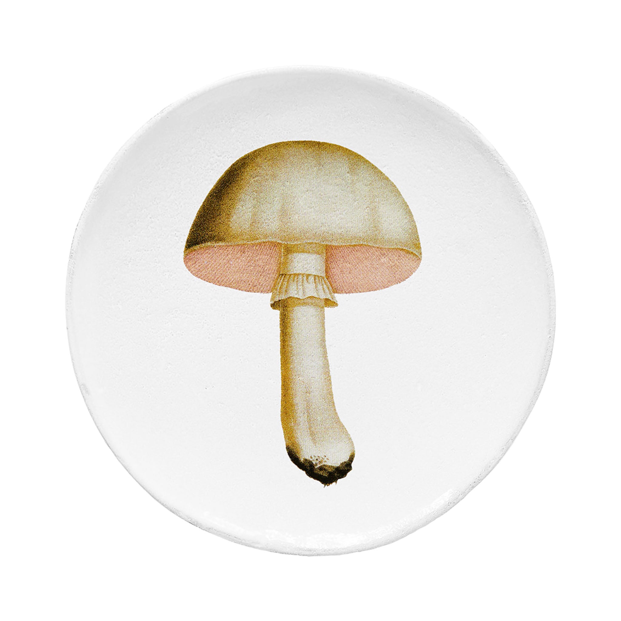 John Derian White Champignon Comestible ミディアムプレート 19cm