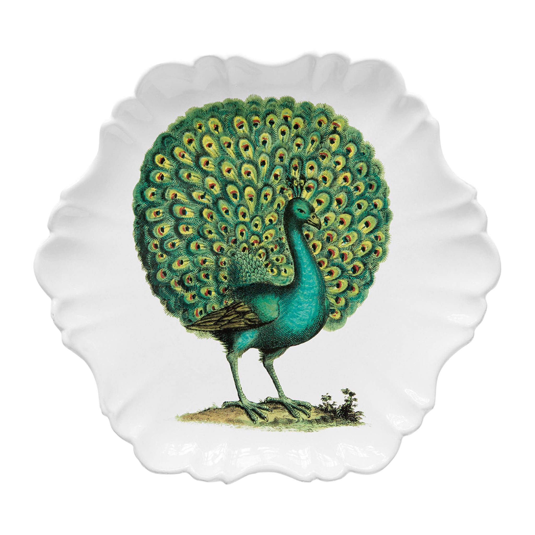 John Derian Peacock プレート 27.5cm