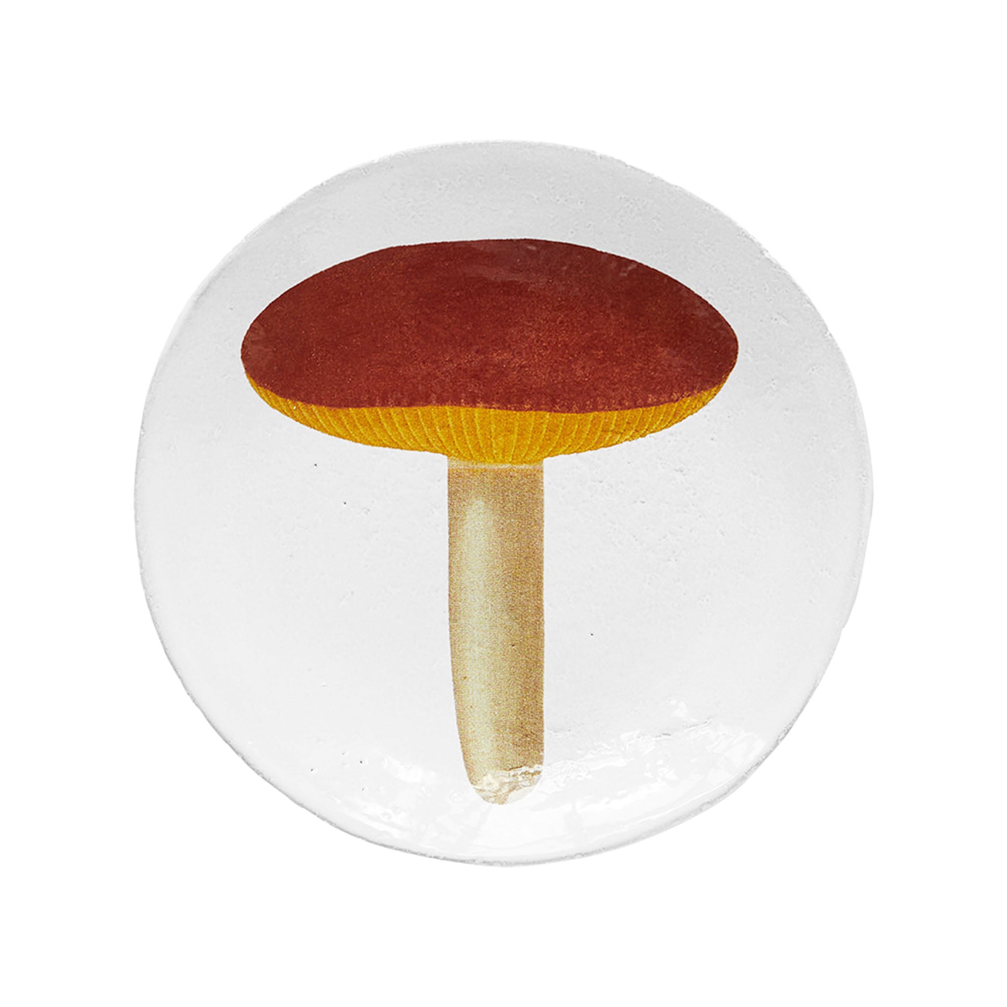 John Derian Agaric Alutace スモールプレート 13.5cm