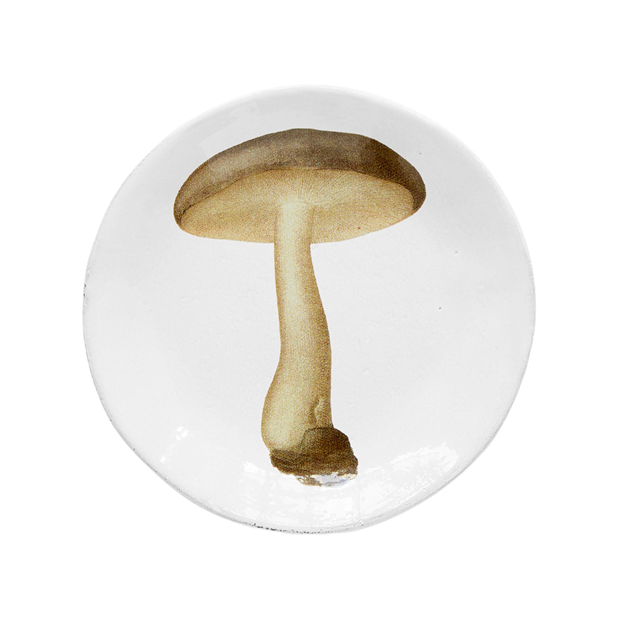 John Derian Agaric Nebuleux スモールプレート 13.5cm