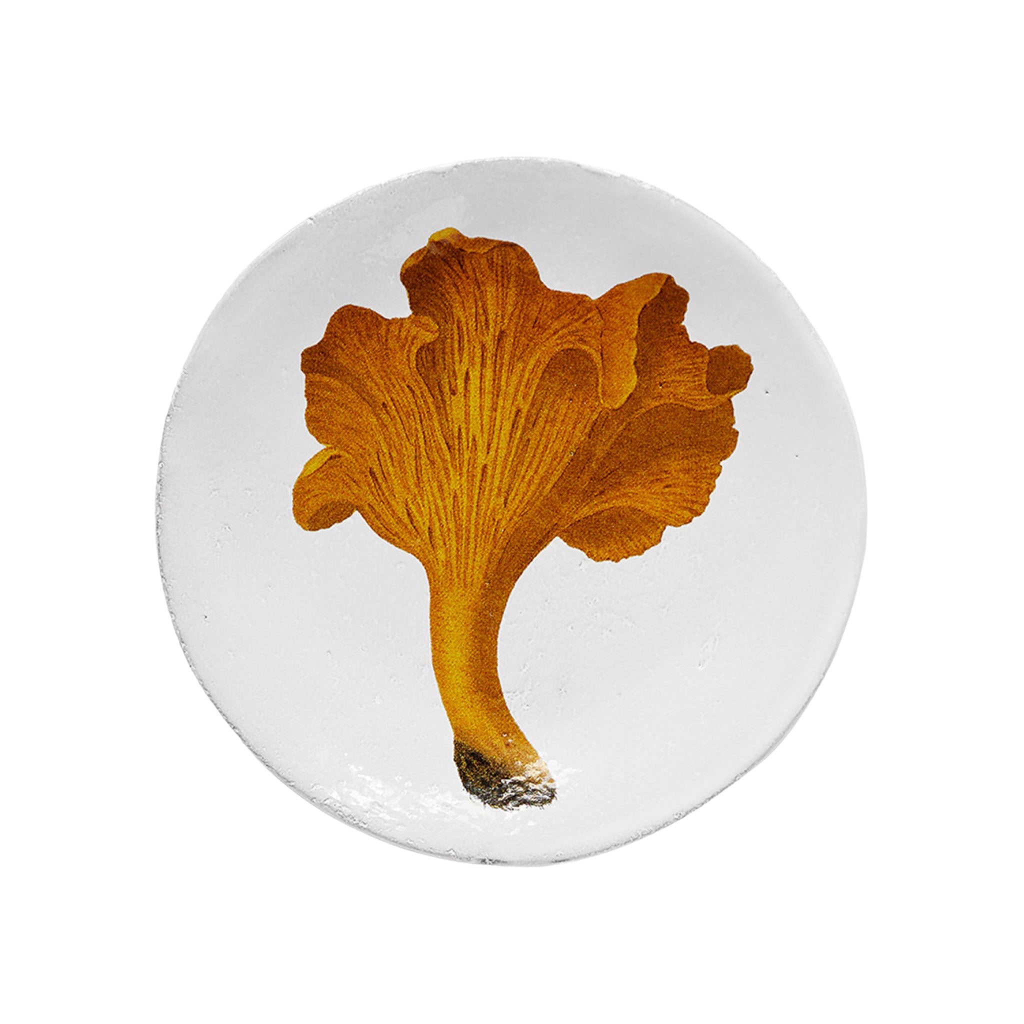 John Derian Chanterelle Comestible スモールプレート 13.5cm