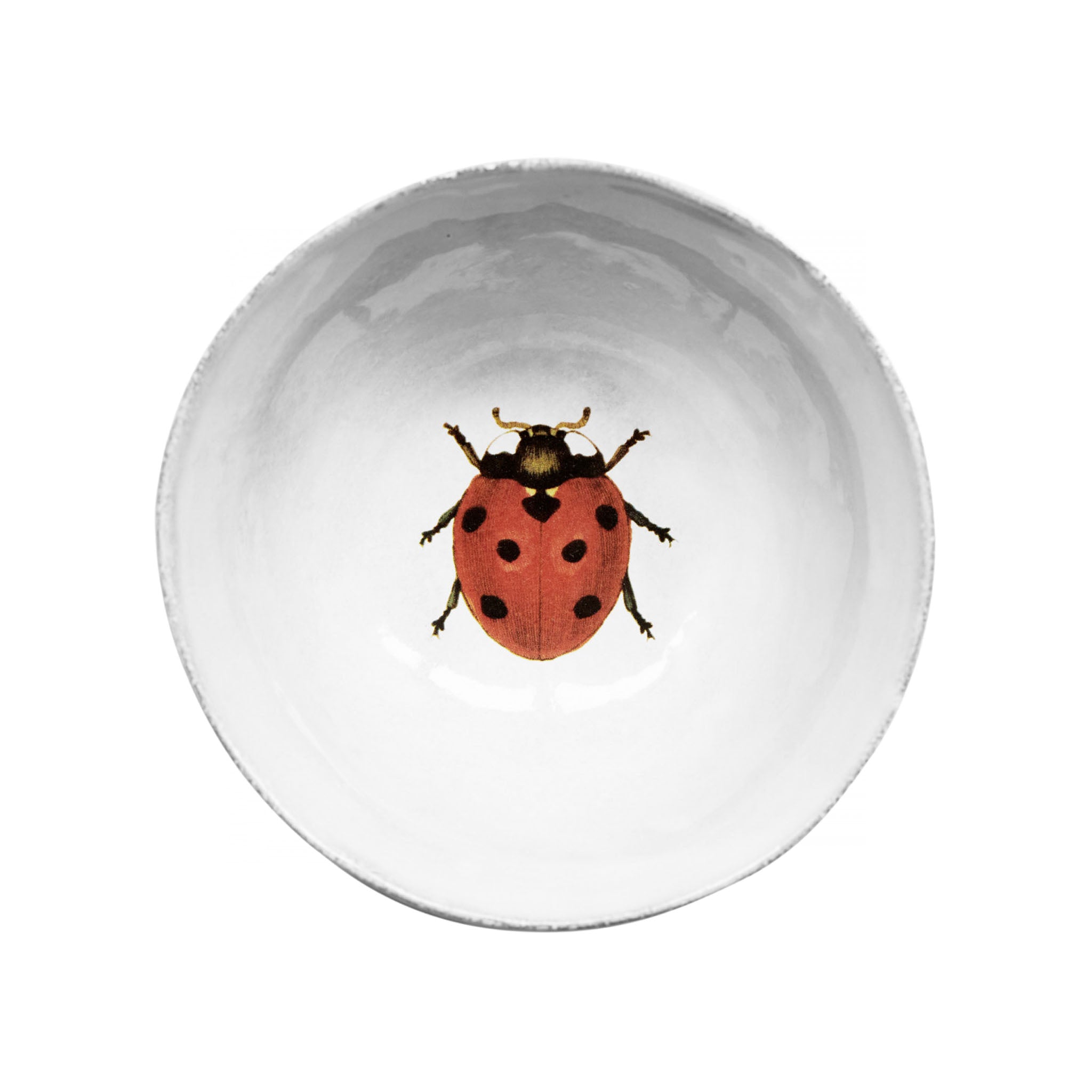 John Derian Ladybug スモールスーププレート 14.5cm