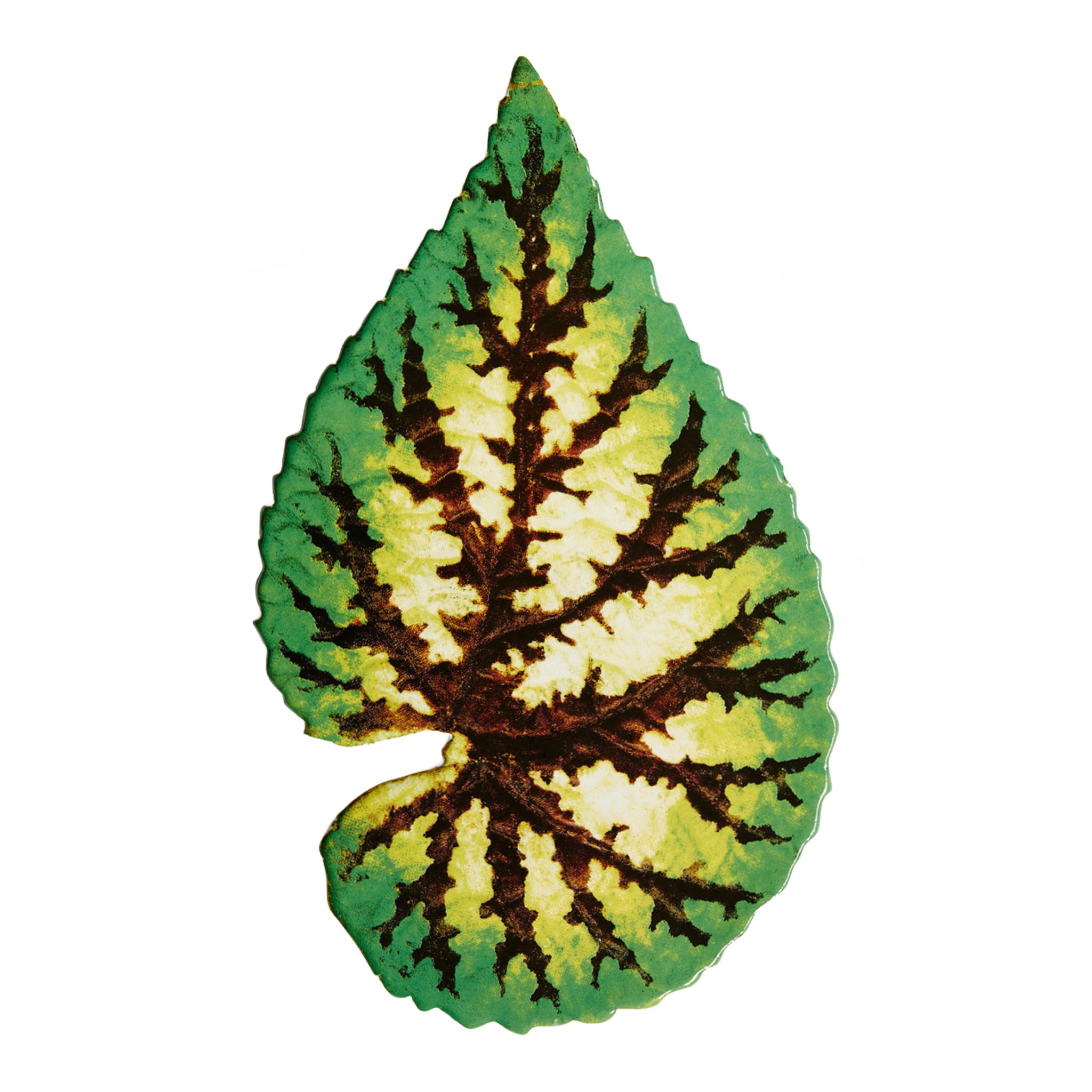 John Derian Leaf 55 プラッター 28.5cm