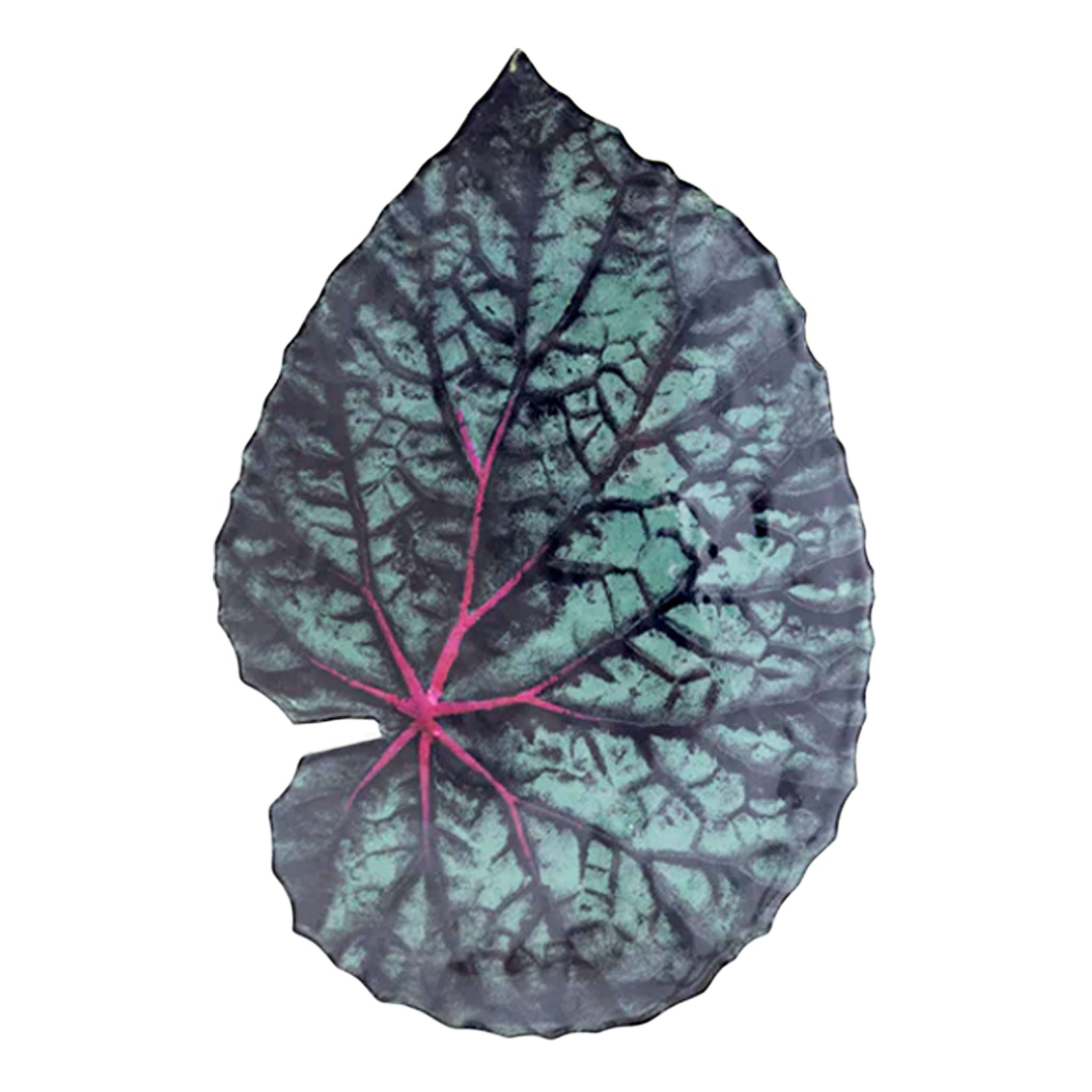 John Derian Leaf 42 プラッター 33cm