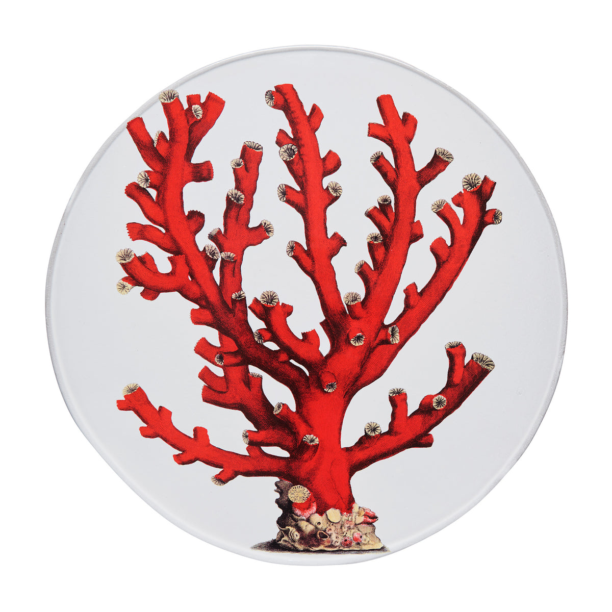 John Derian Red Coral スタンド