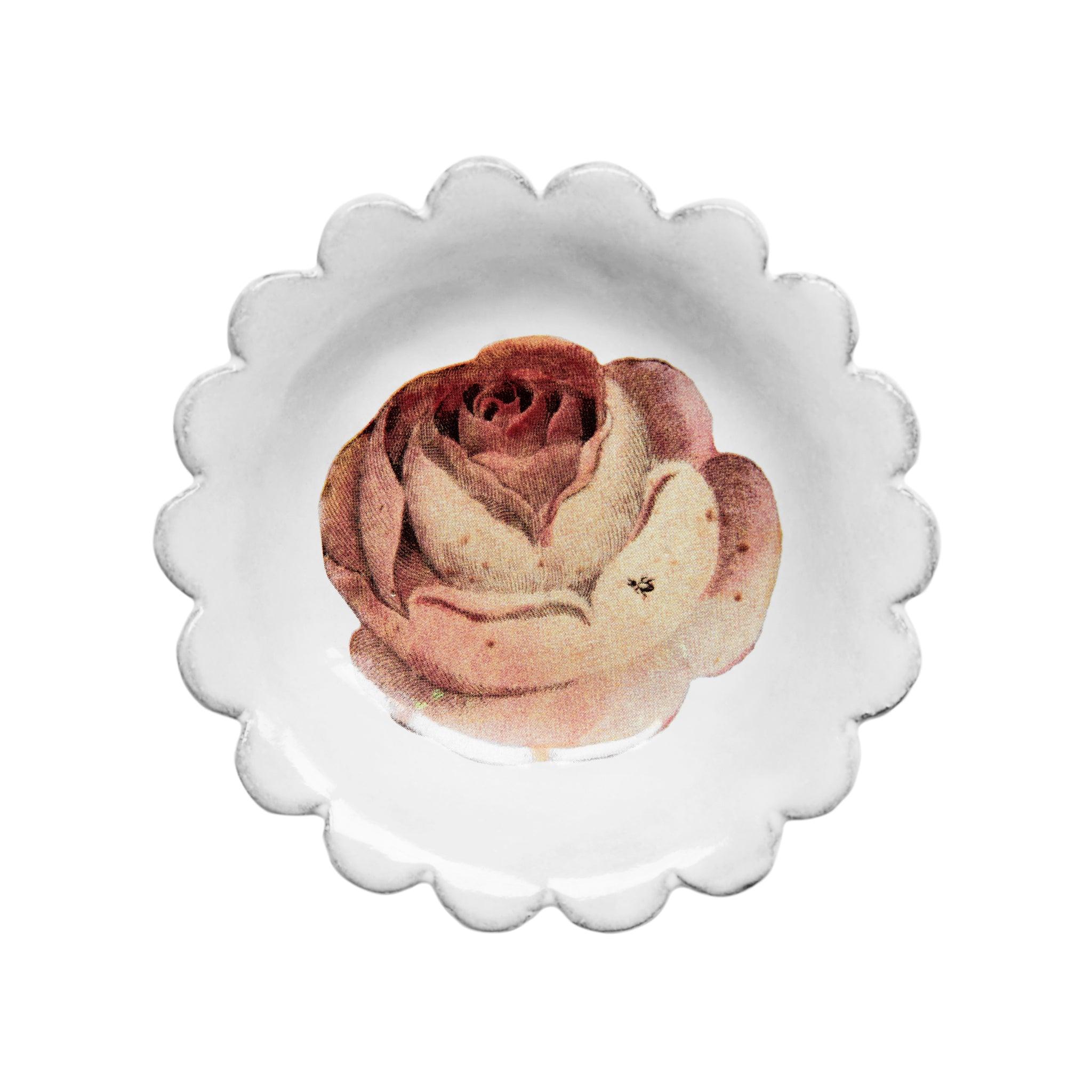 John Derian Rose and Insect ソーサー 13.5cm