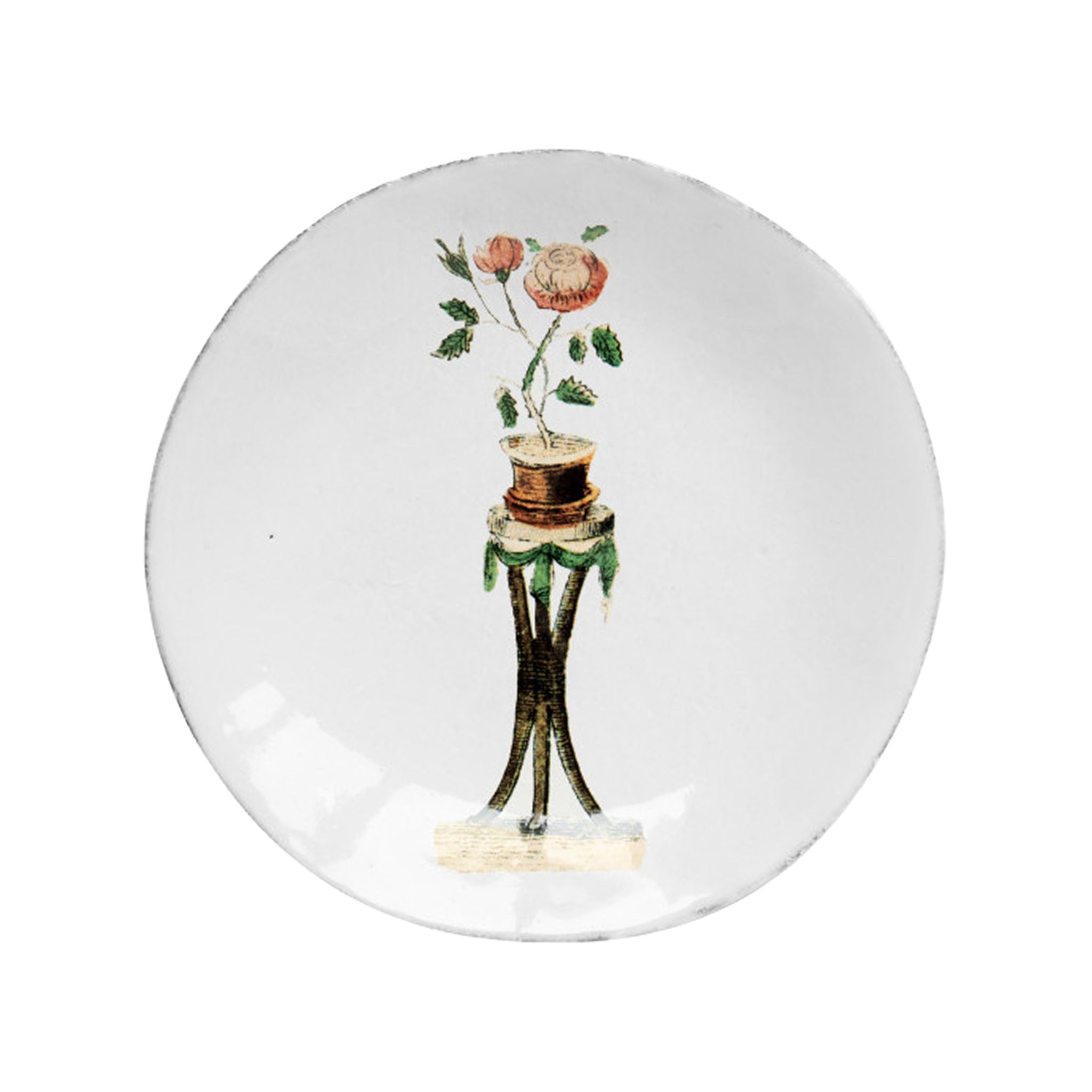 John Derian Rosebush スモールプレート 13.7cm