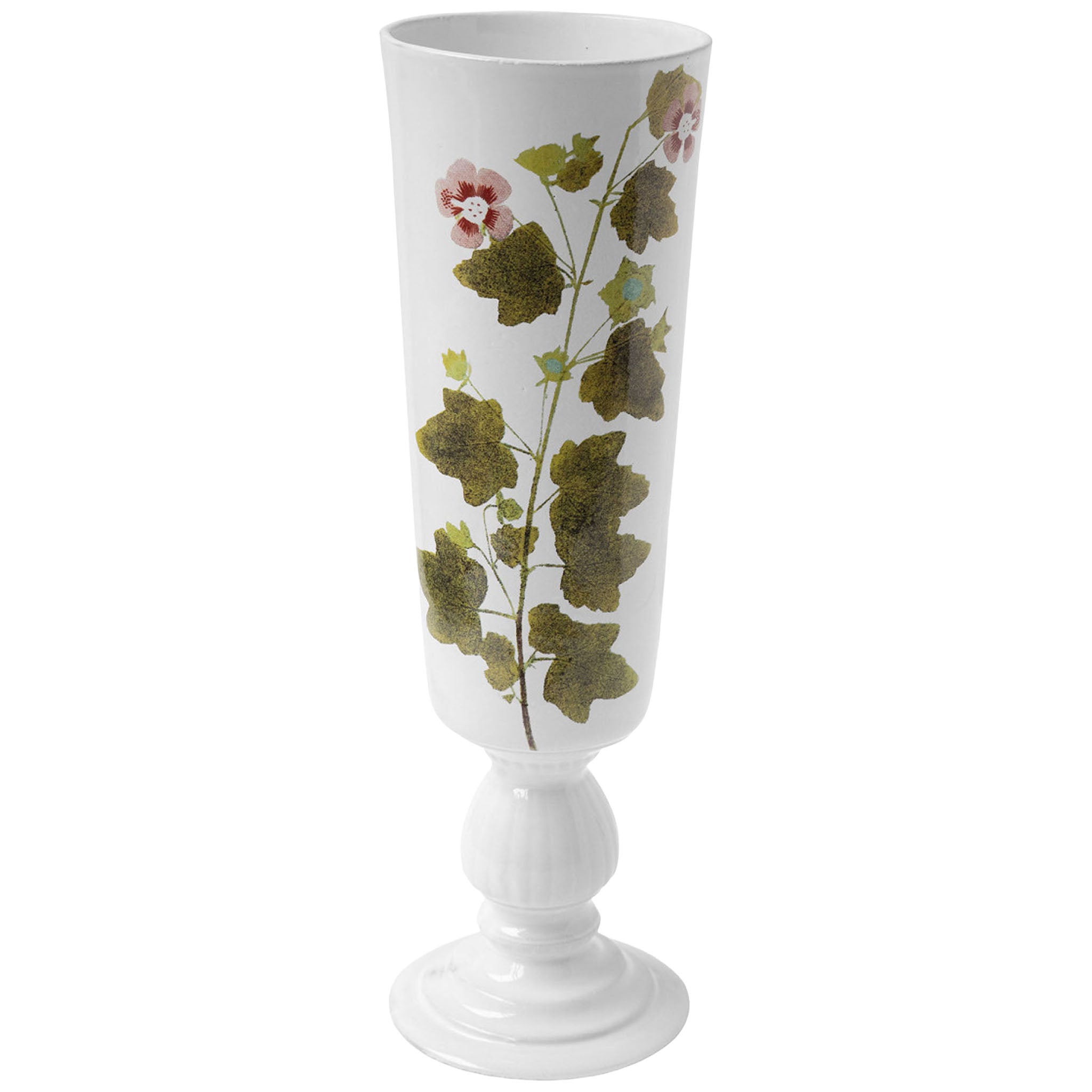 John Derian Malva ベース