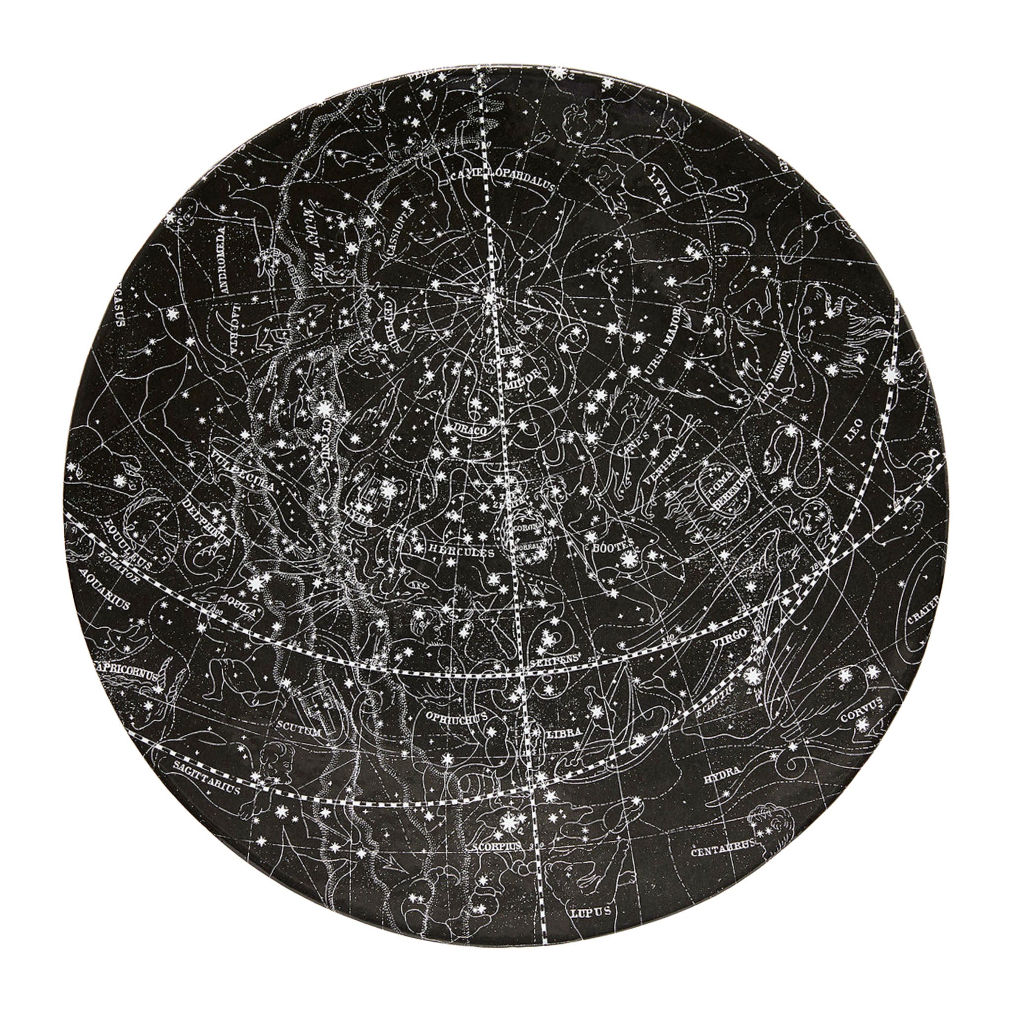 John Derian Visible Heavens April to July ディナープレート 26cm