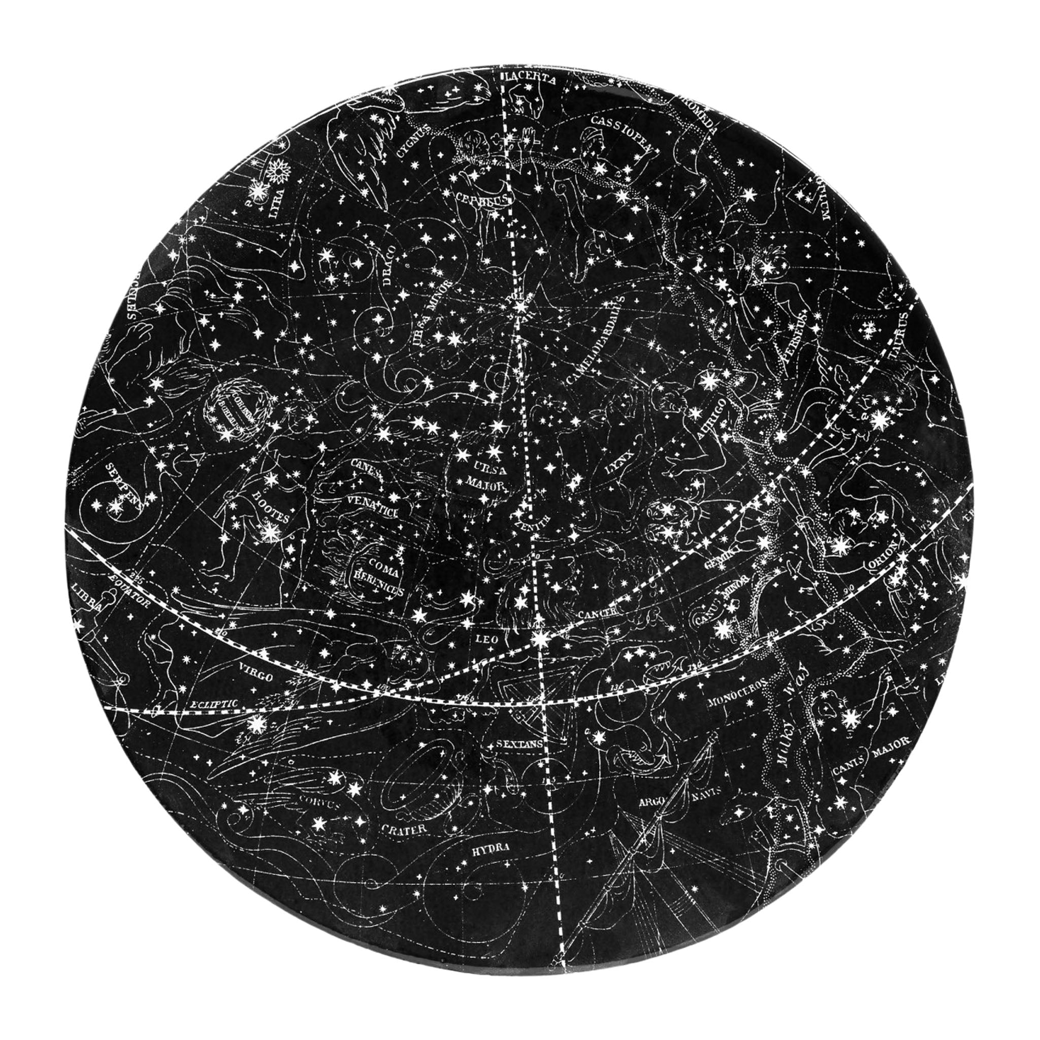 John Derian Visible Heavens January to April ディナープレート 26cm