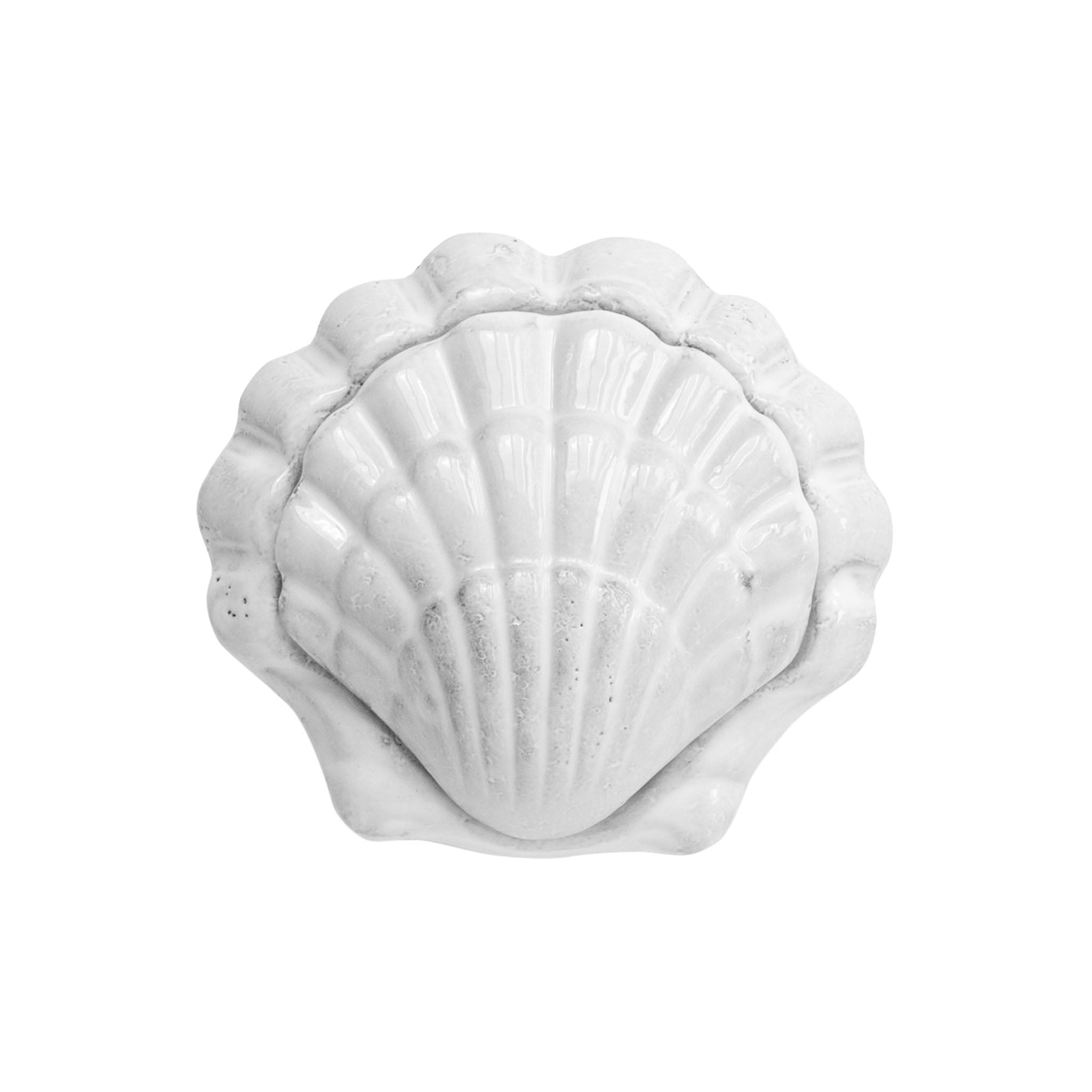 Coquillage スモールボックス