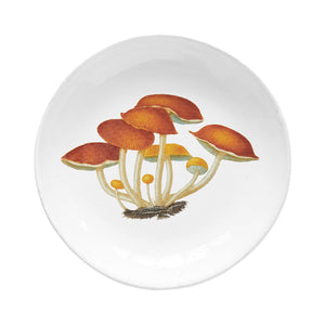 John Derian Agaric Amer スーププレート 19cm