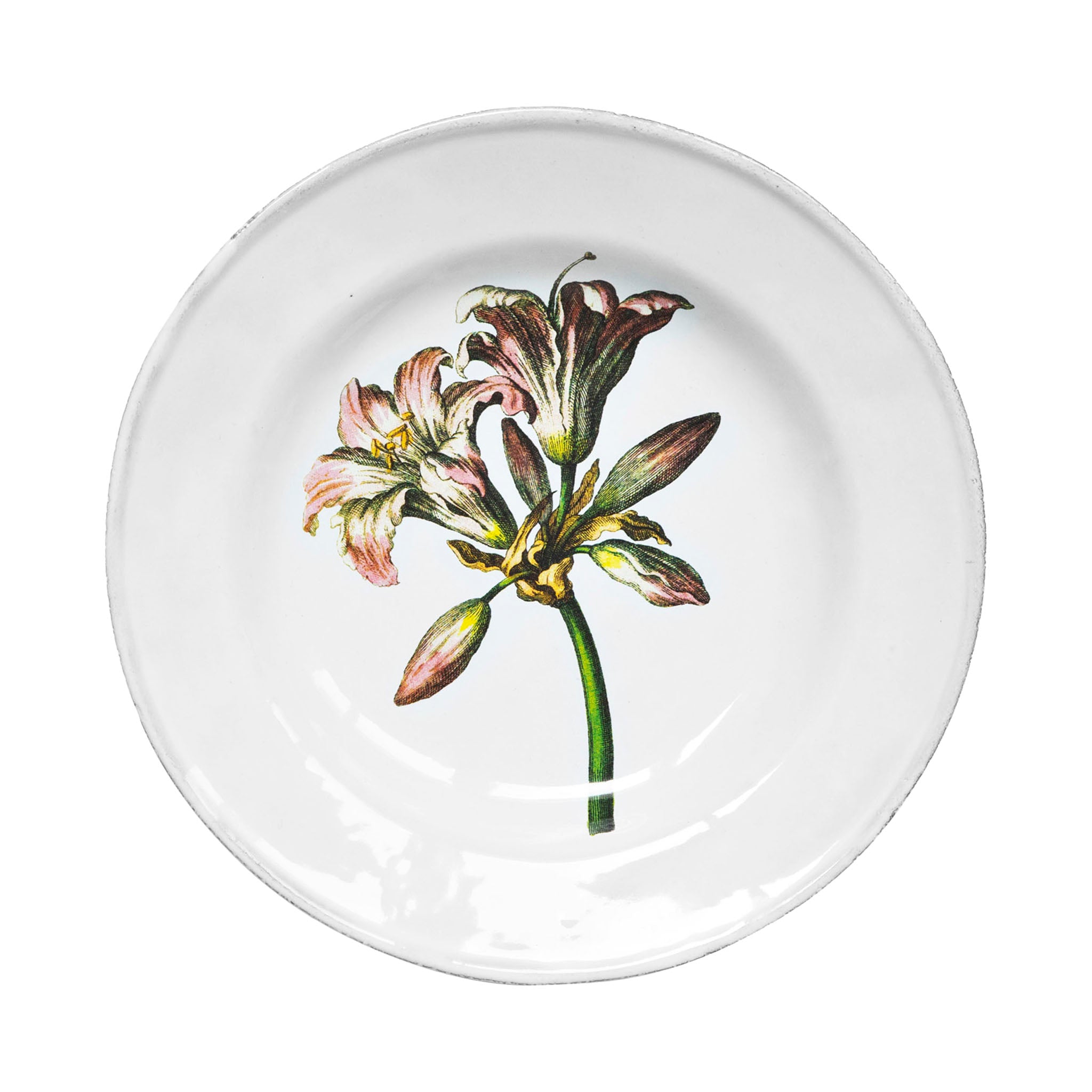 John Derian Bella Donna Lily スーププレート 22cm