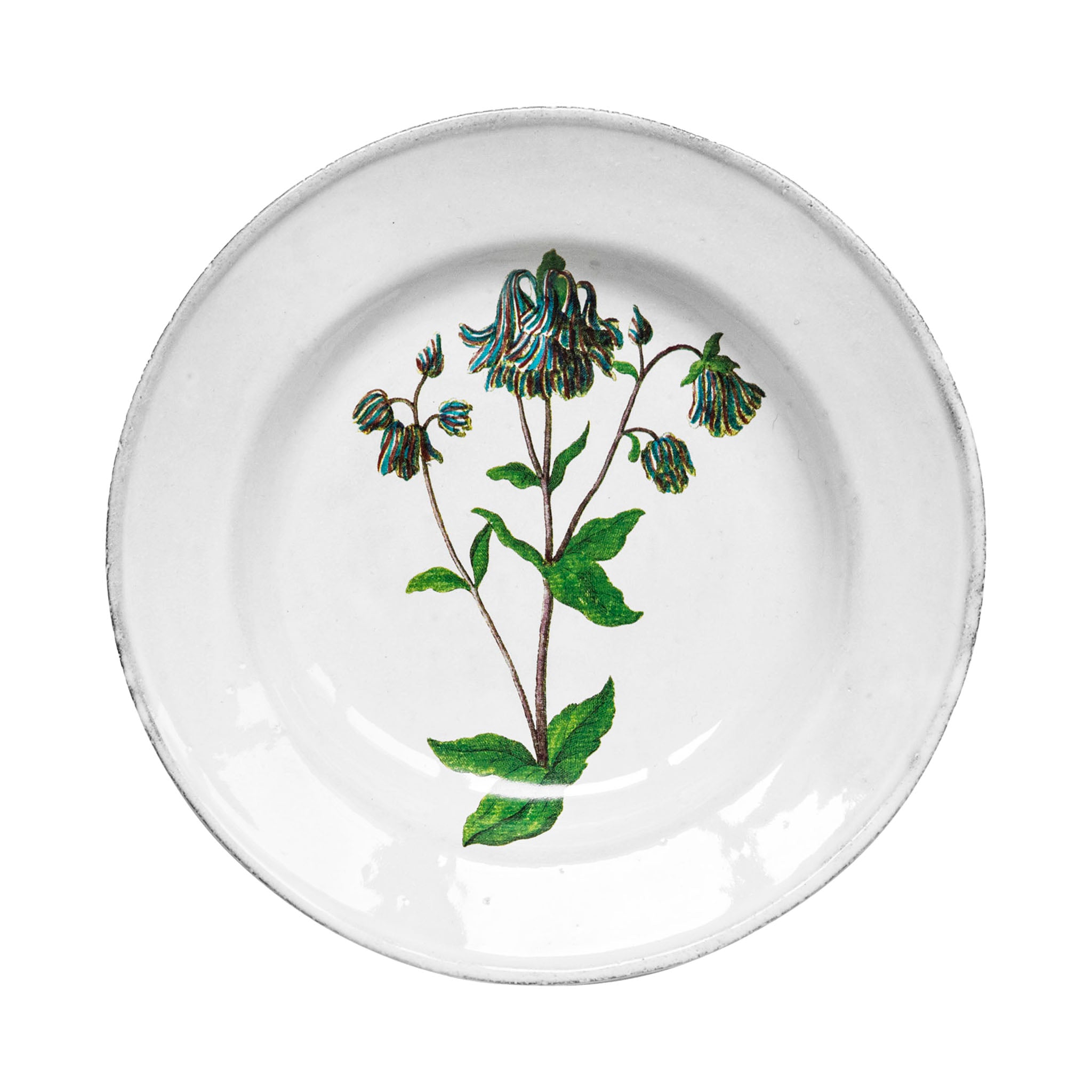 John Derian Columbine Flower スーププレート 22cm