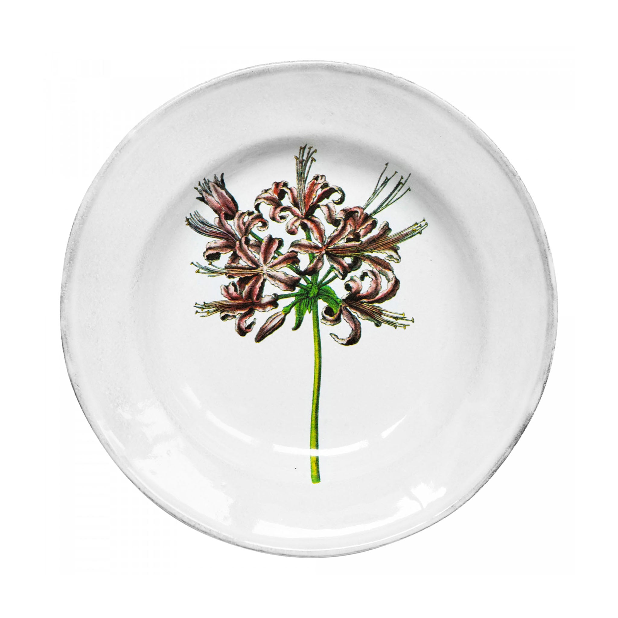 John Derian Guernsey Lily スーププレート 22cm