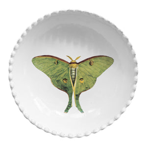 Eyed green butterfly スーププレート