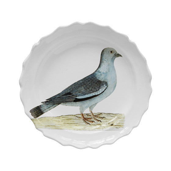 John Derian Stock Dove スーププレート 25cm