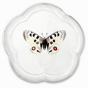 John Derian Apollo Butterfly ディナープレート 28.5cm