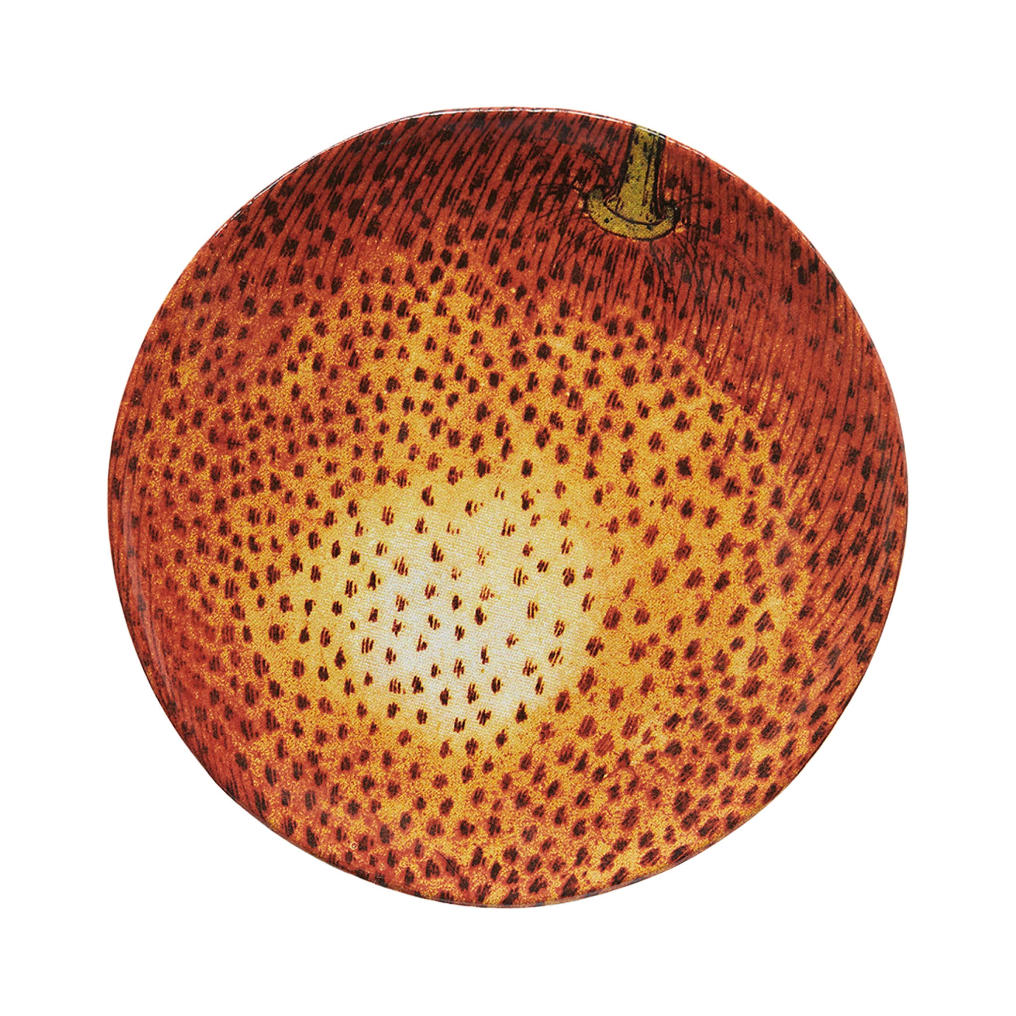 John Derian Apple Orange ミディアムプレート 18cm