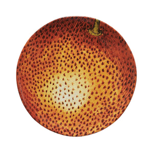 John Derian Apple Orange ミディアムプレート 18cm