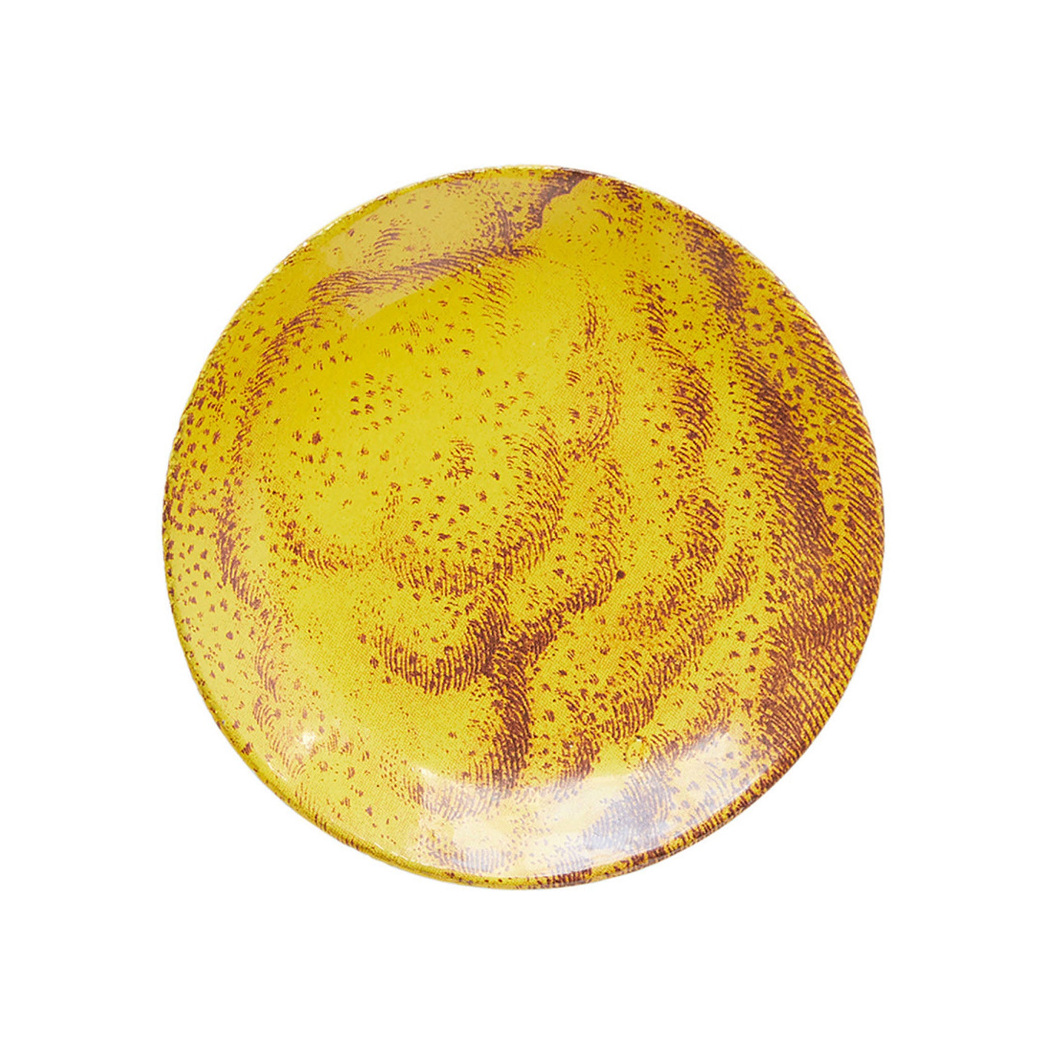 John Derian Malus Poma (Lemon) スモールプレート 13cm