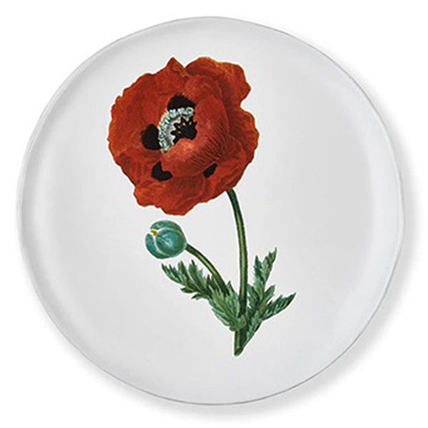 John Derian Orange flower Dinner プレート 26cm