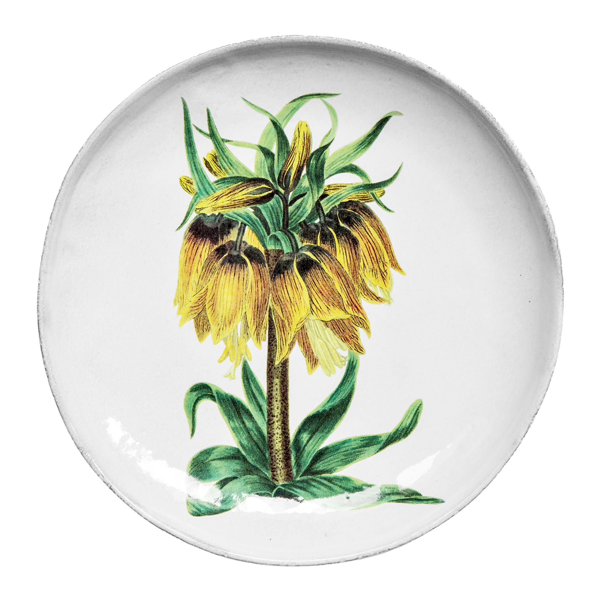 John Derian Yellow flower ディナープレート 26cm