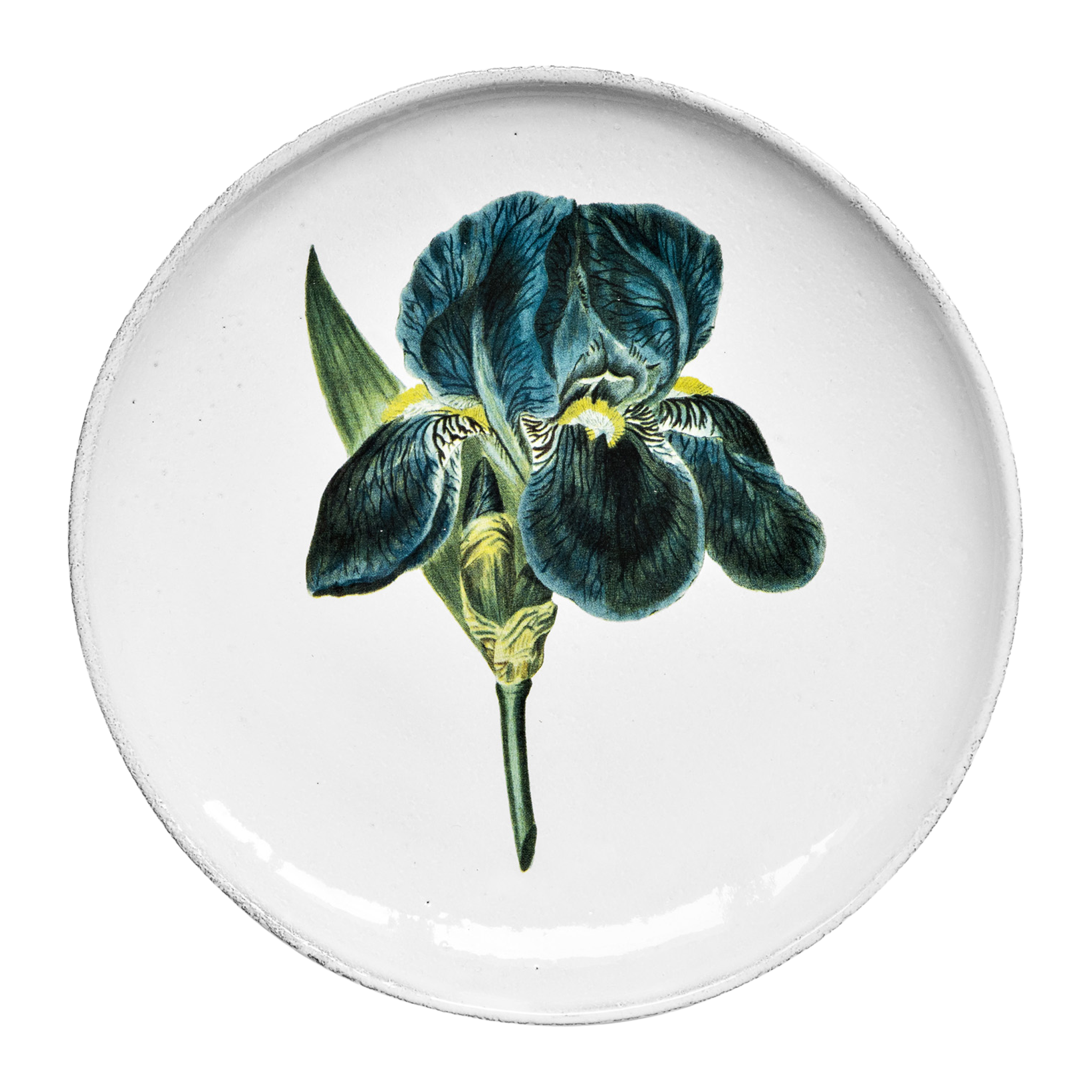 John Derian Blue Flower ディナープレート 26cm