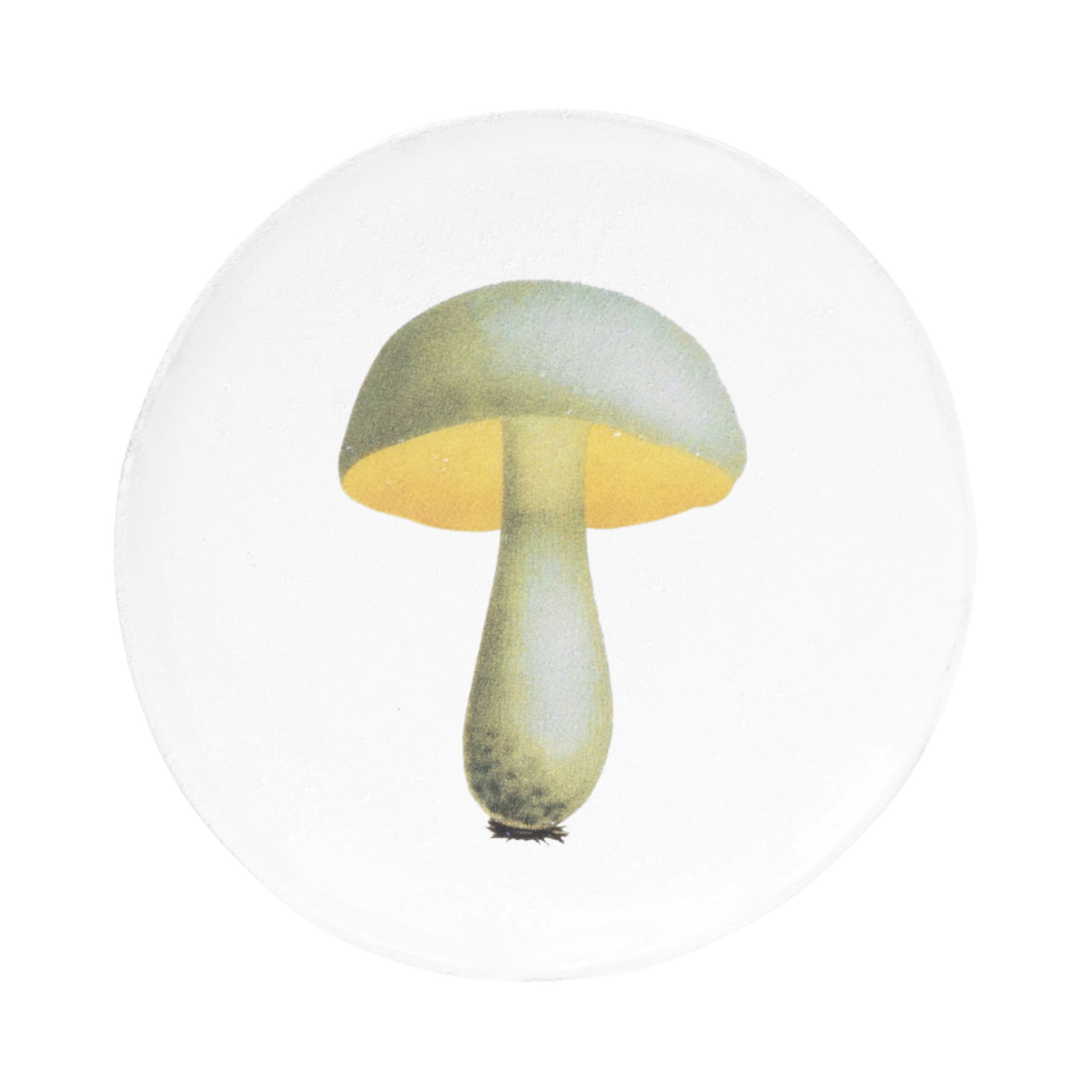 John Derian Bolet Blanchatre ミディアムプレート 19cm