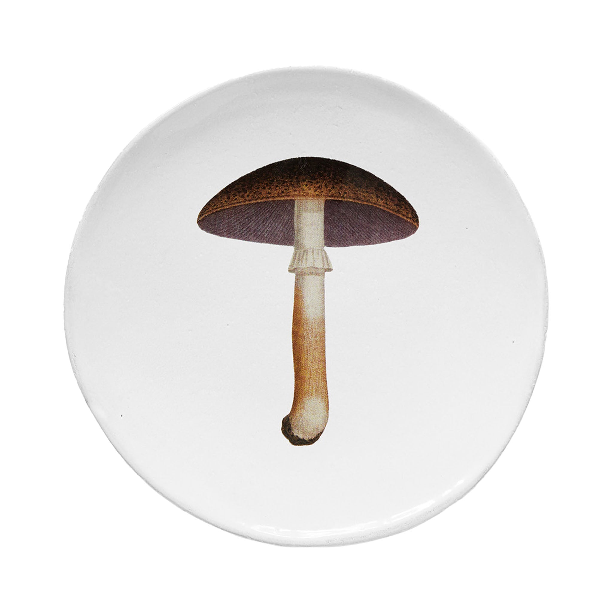 John Derian Mauve Champignon Comestible ミディアムプレート 19cm