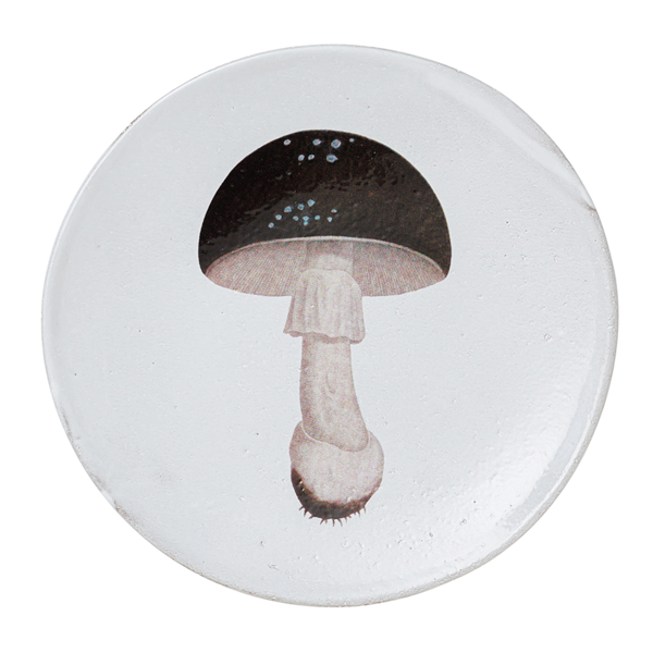 John Derian Agaric Fuligineux ディナープレート 19cm