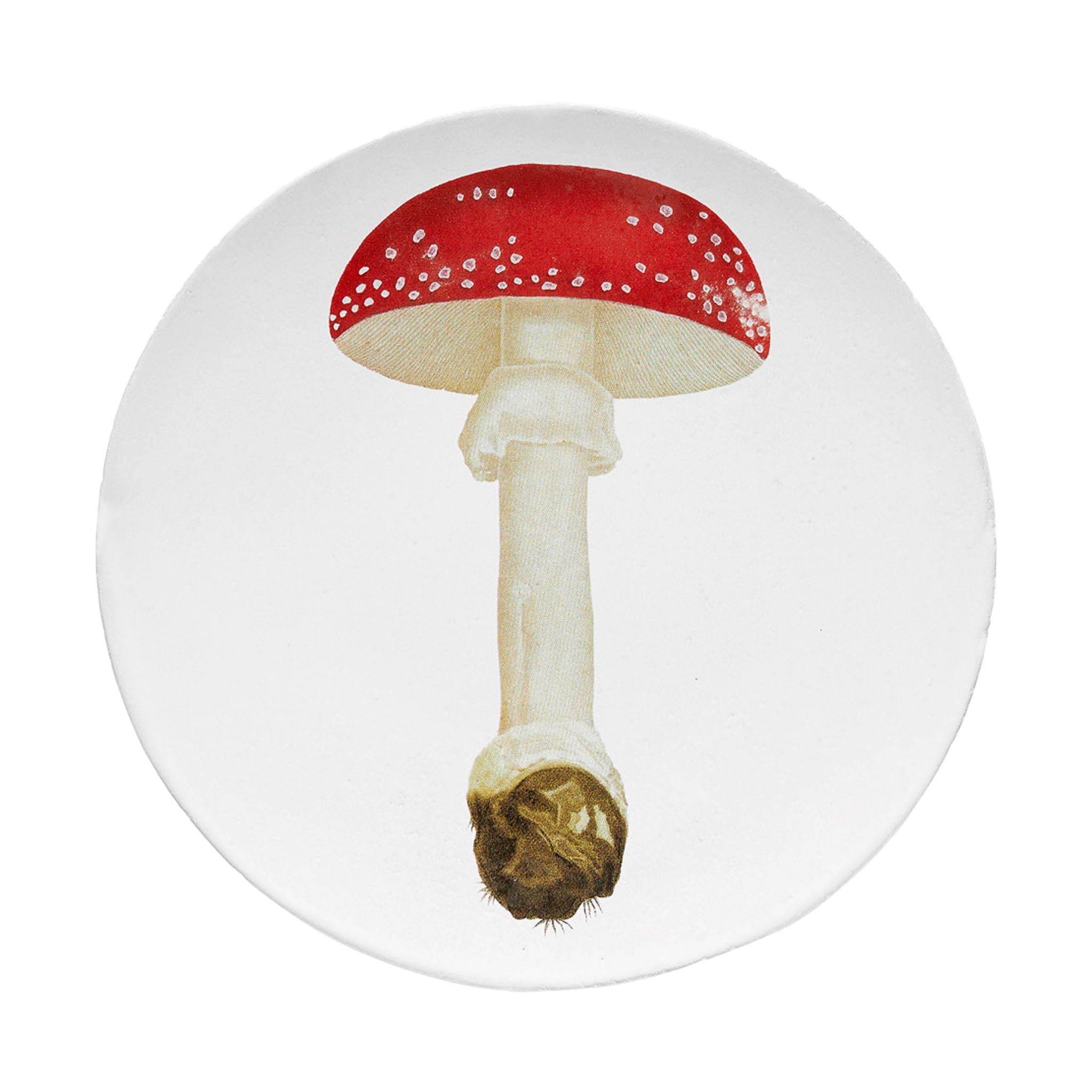 John Derian Agaric Fausse Oronge Umbrella ミディアムプレート 24cm
