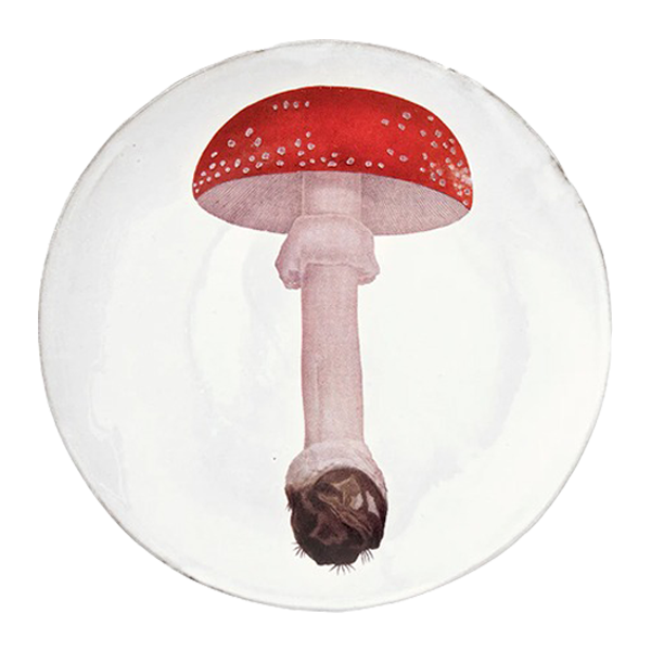 John Derian Agaric Fausse Oronge Umbrella ディナープレート24cm