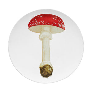 John Derian Agaric Fausse Oronge Umbrella ミディアムプレート 24cm