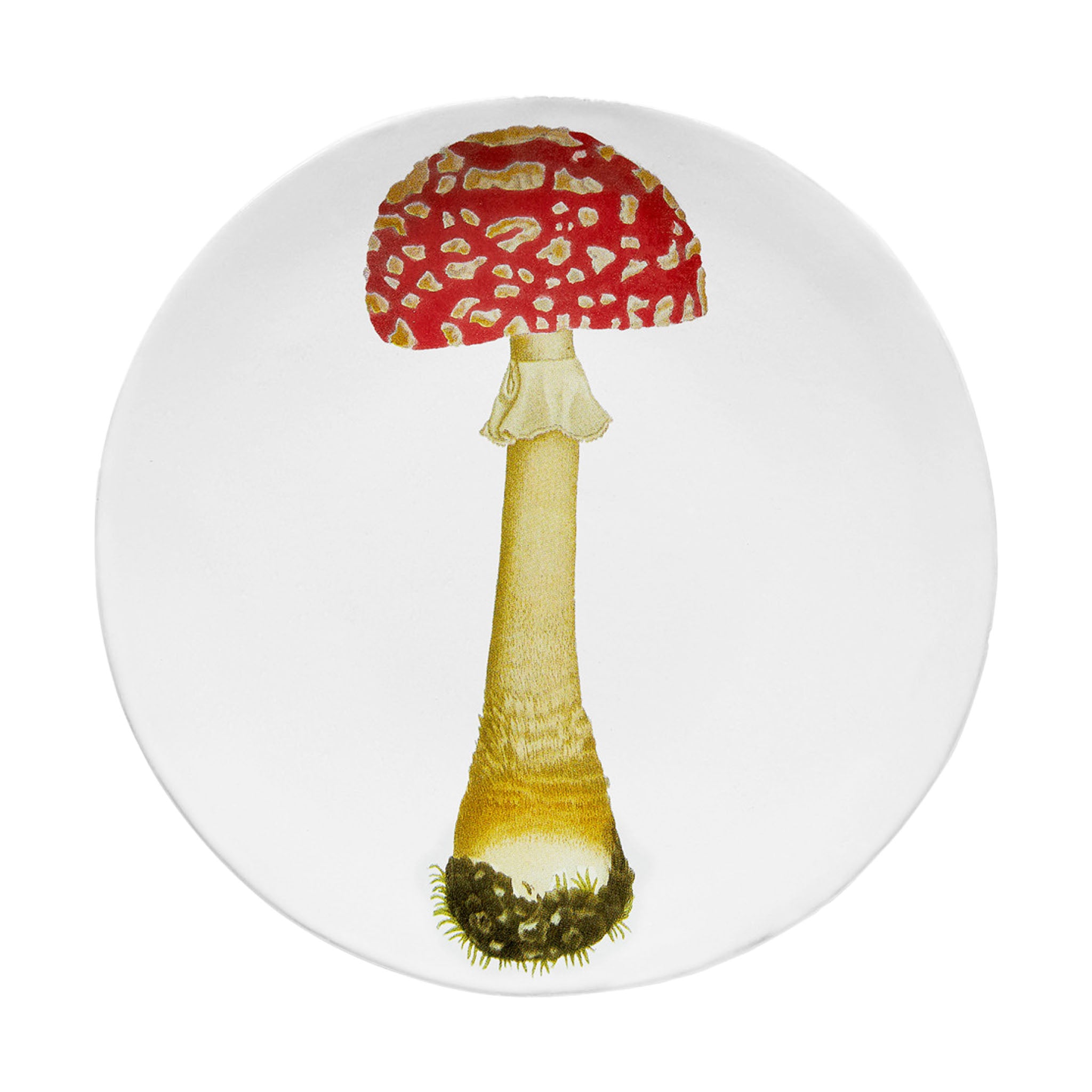 John Derian Agaric Fausse Oronge ミディアムプレート 24cm
