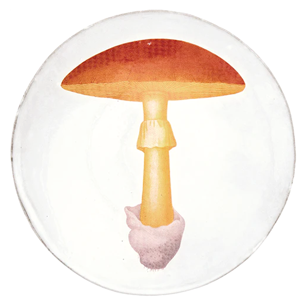 John Derian Yellow Agaric Oronge ディナープレート24cm