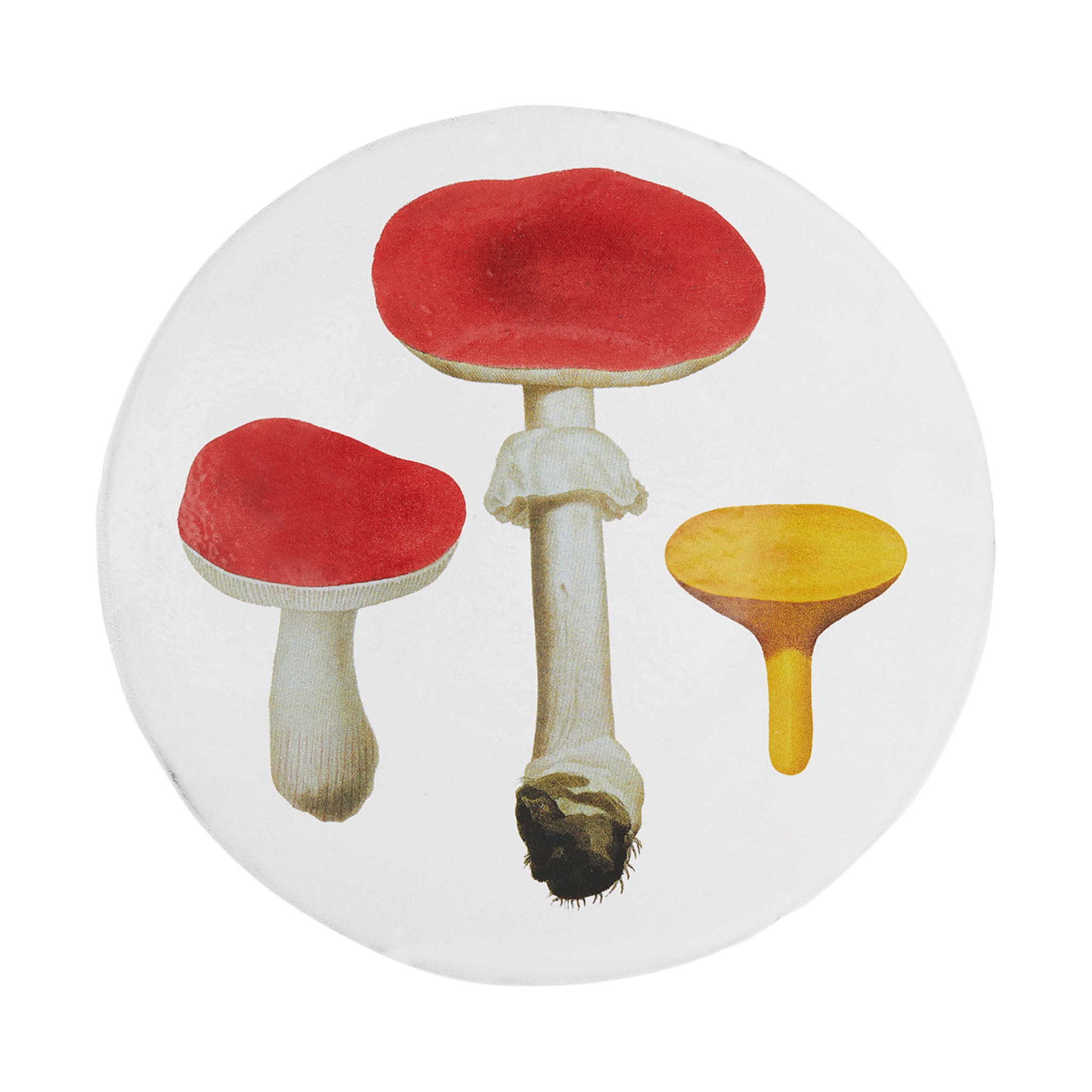 John Derian Red Mushrooms ディナープレート 24cm