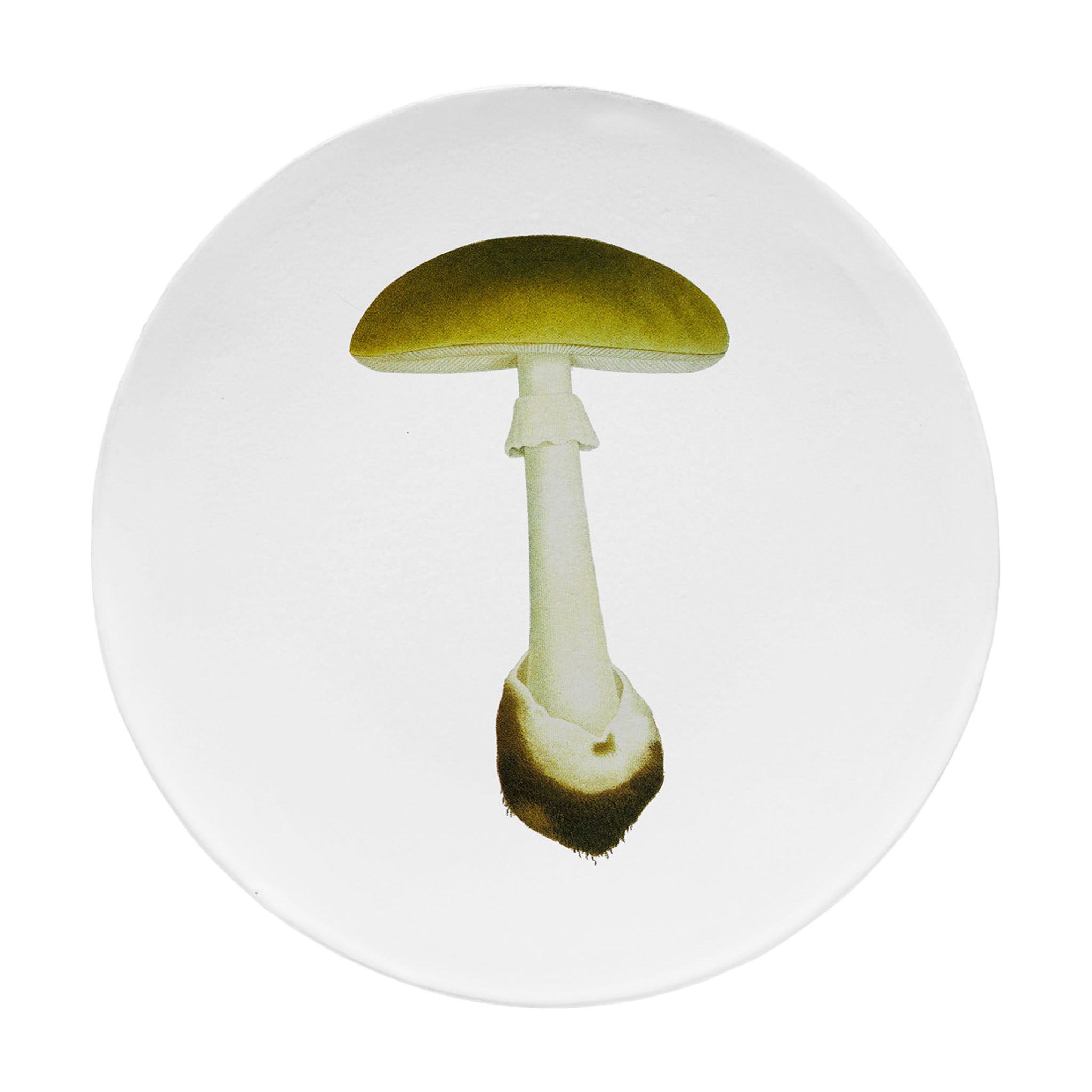 John Derian Agaric Bulbeux ディナープレート 26.5cm
