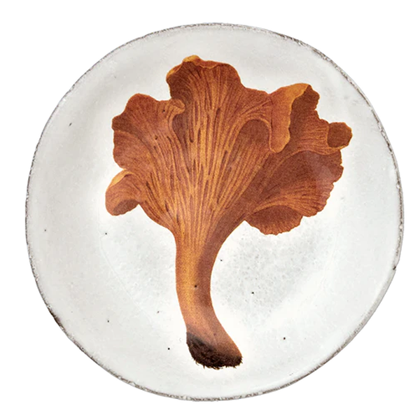 Plate,Platter – ページ 17 – ASTIER de VILLATTE ONLINE