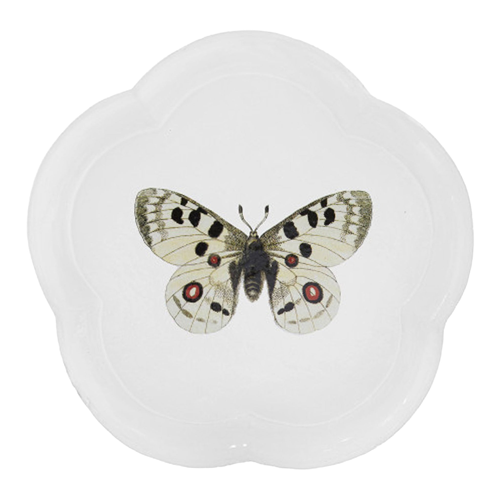 John Derian Apollo Butterfly ディナープレート 28.5cm