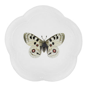 John Derian Apollo Butterfly ディナープレート 28.5cm