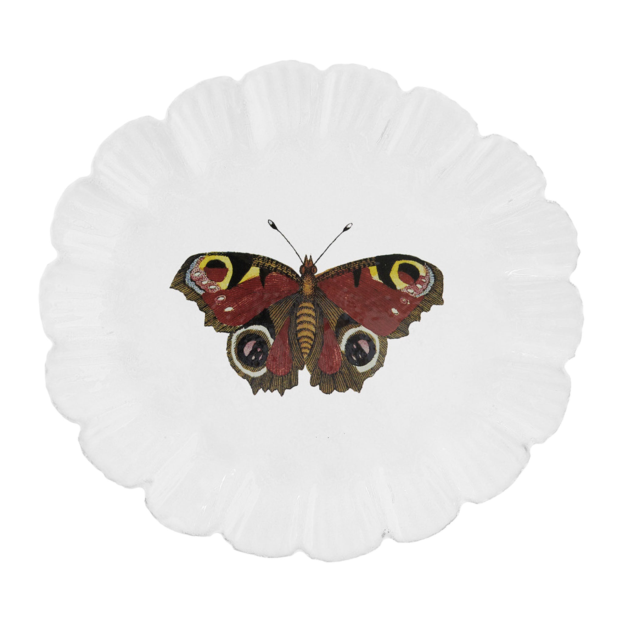 Jonh Derian Burgundy Butterfly ディナープレート 26.5cm