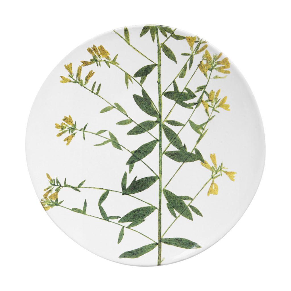John Derian Genista ミディアムプレート 24cm