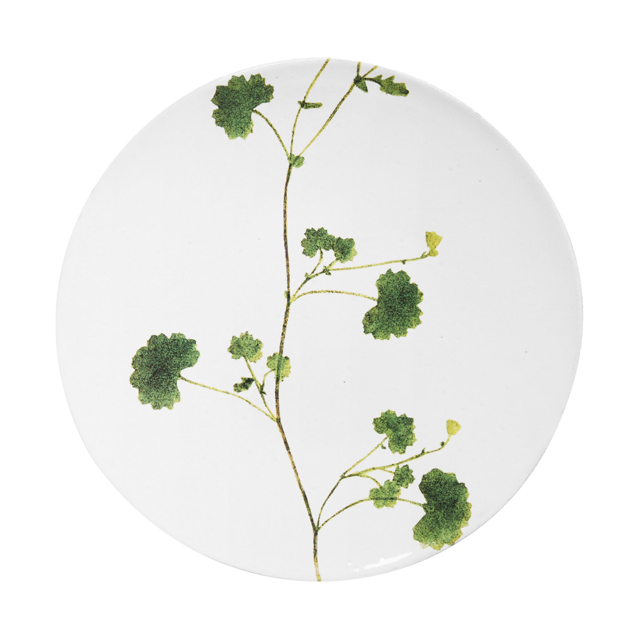 John Derian Othona ミディアムプレート 24cm