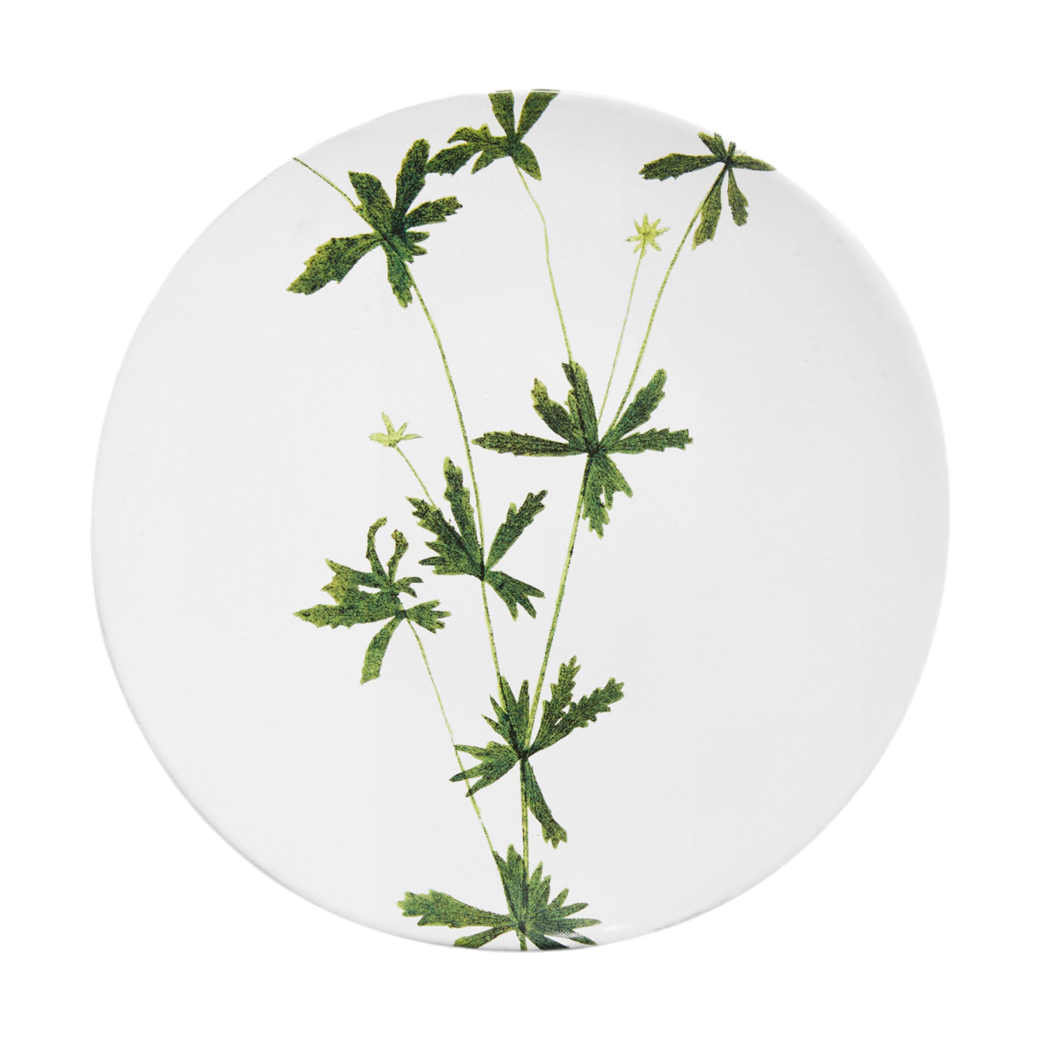 John Derian Tormentilla ミディアムプレート 24cm