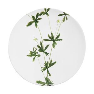 John Derian Tormentilla ミディアムプレート 24cm