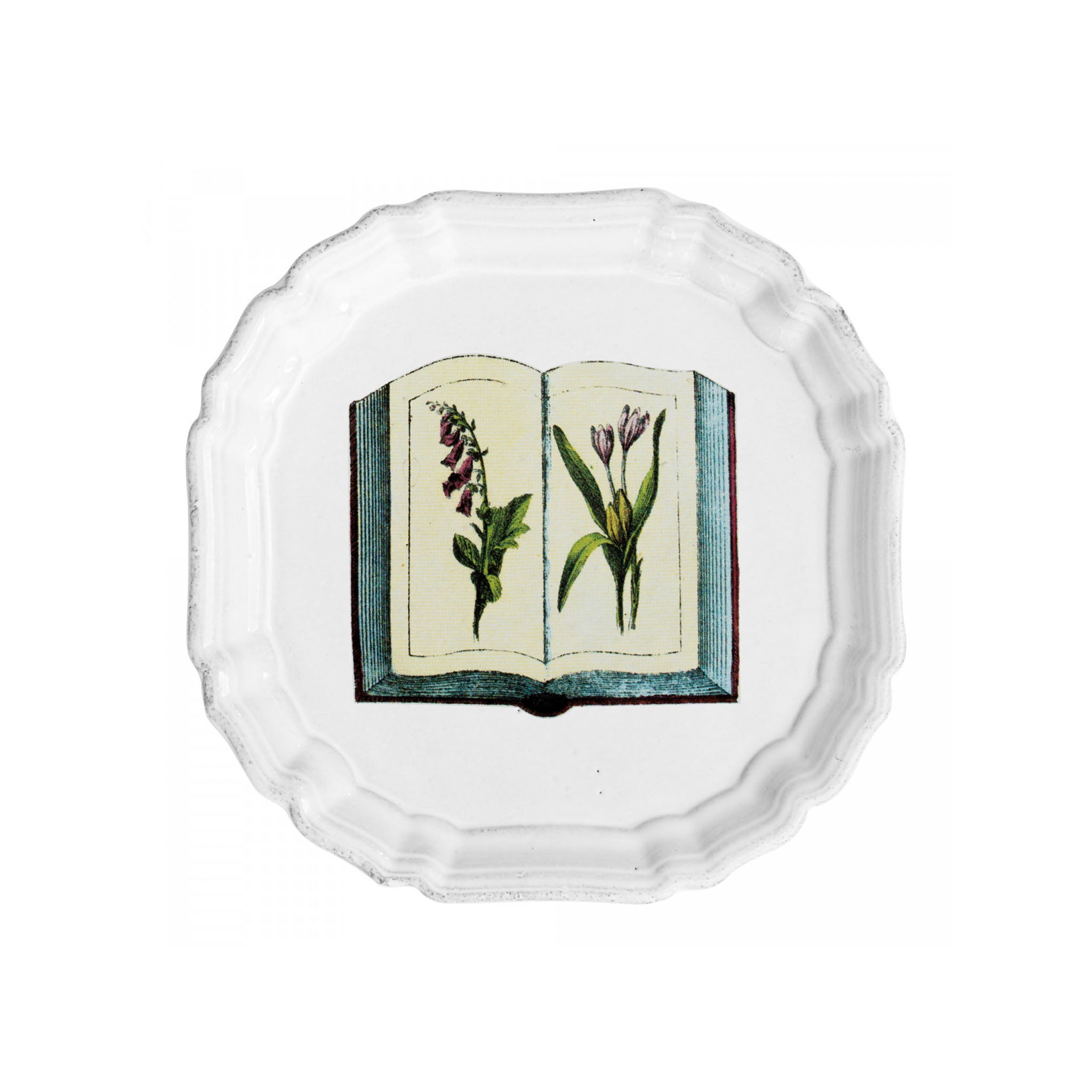 Astier de Villatte John Derian スモールディッシュ Astier de Villatte x John Derian Small Ring Dish – PATCH NYC