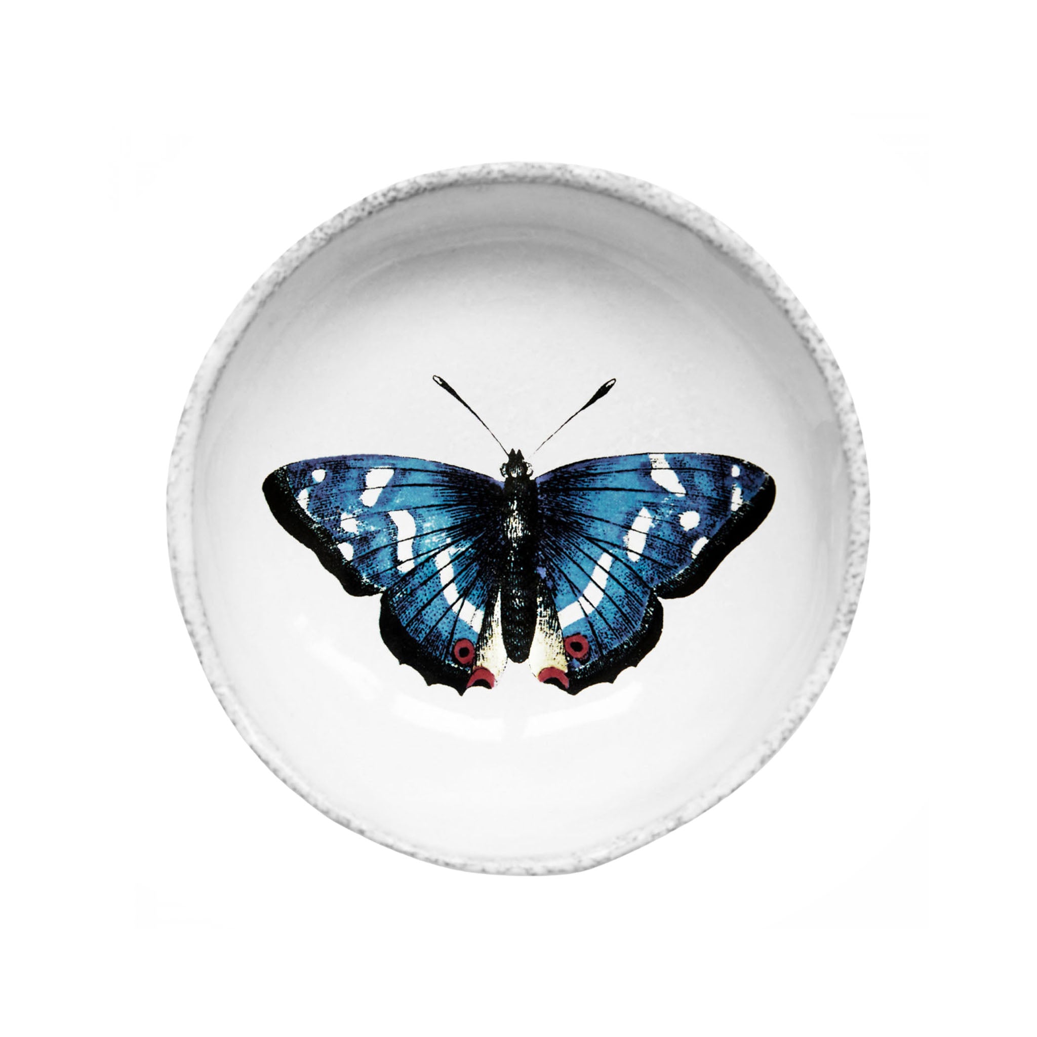 John Derian Dark Blue Butterfly ディッシュ 9.2cm